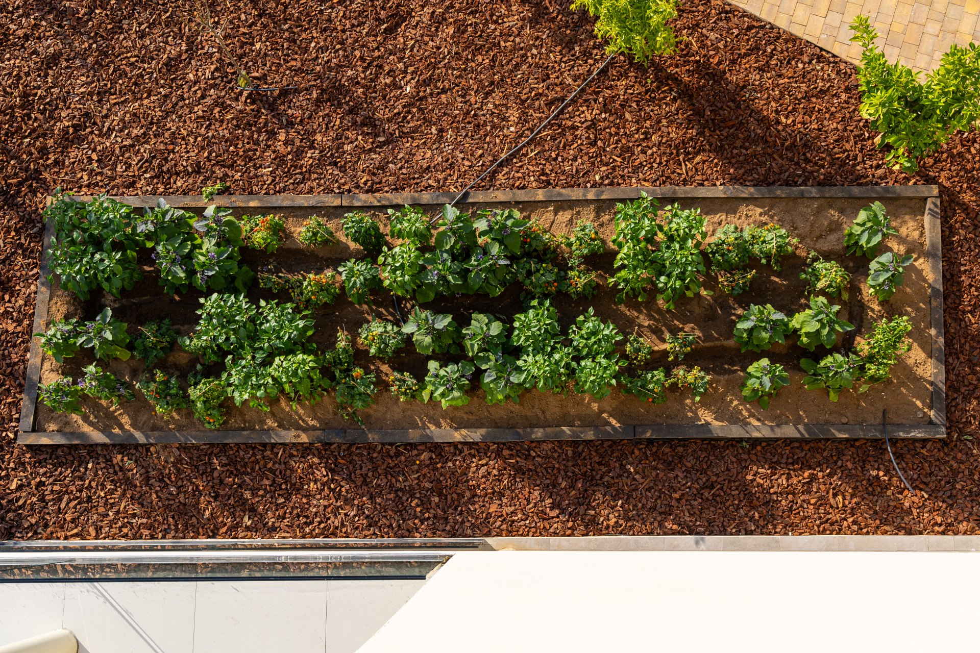 Cálido ático con vistas panorámicas al mar en la prestigiosa zona el Higuerón