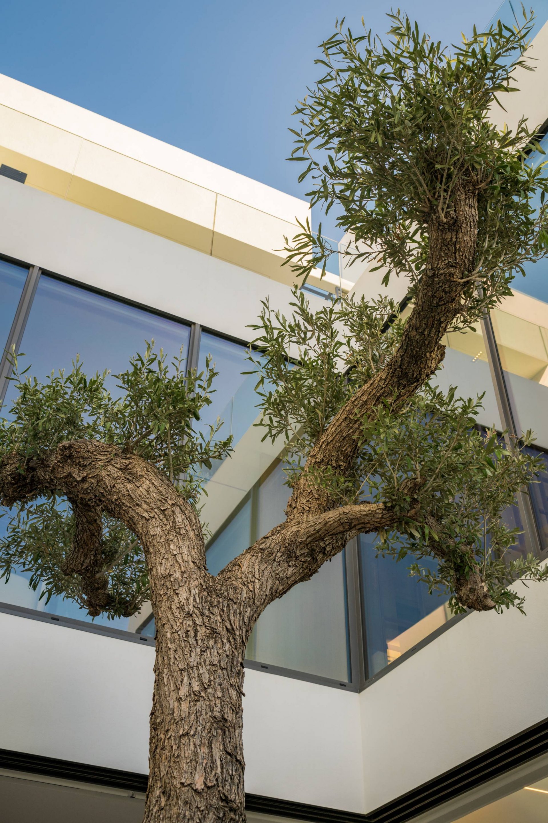 Marbella Golden Mile