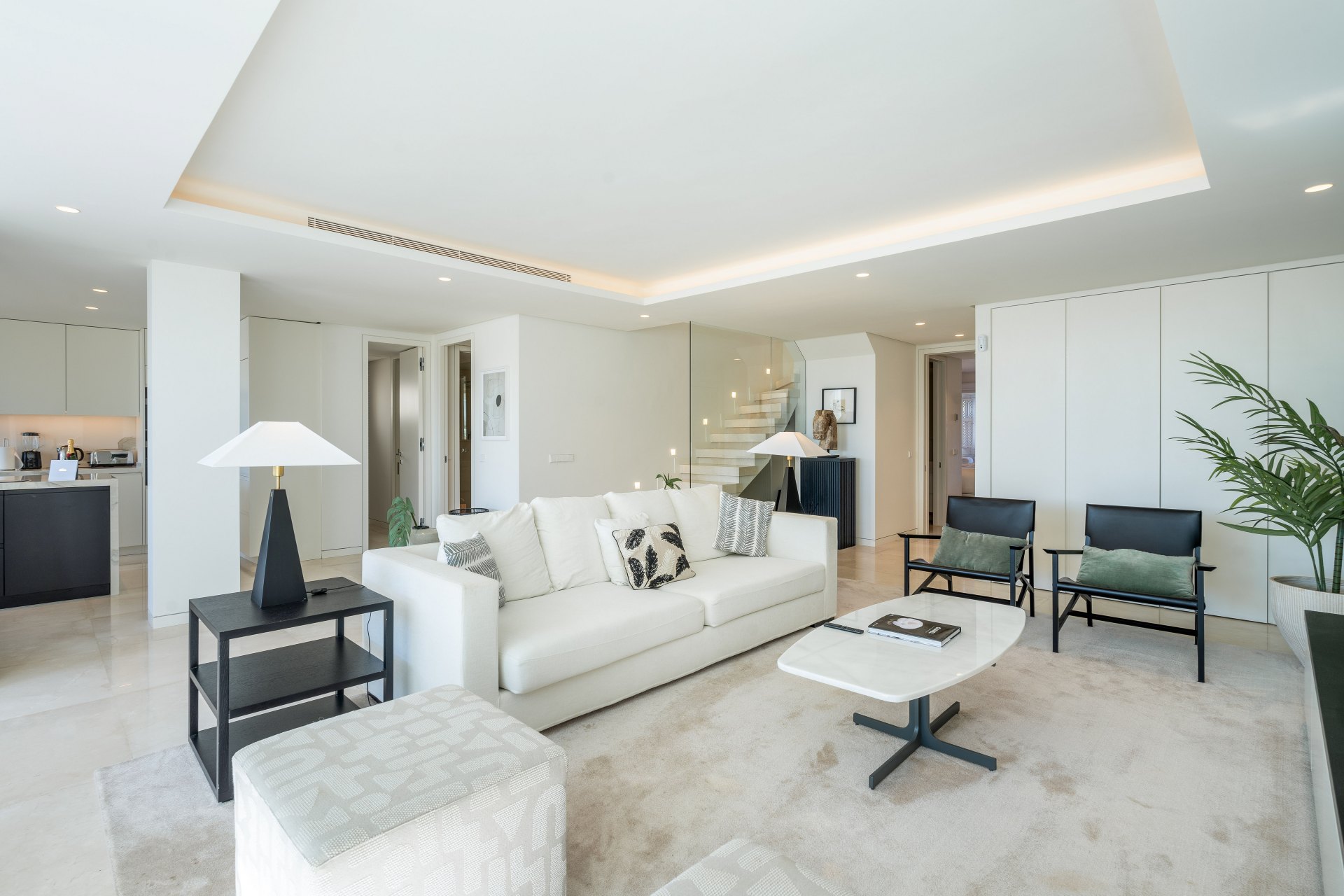 Distinguished and luxurious penthouse