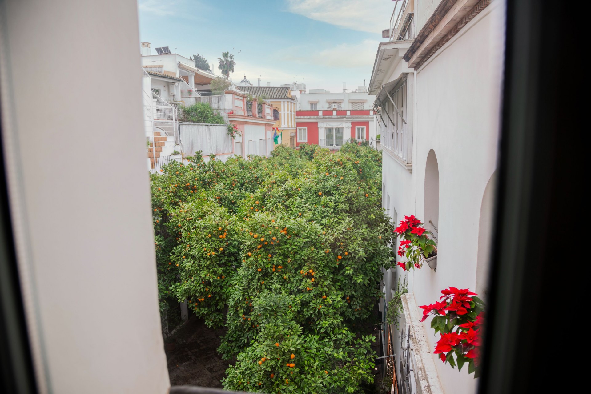 Casa Guadalupe, a house full of character in the very heart of Seville