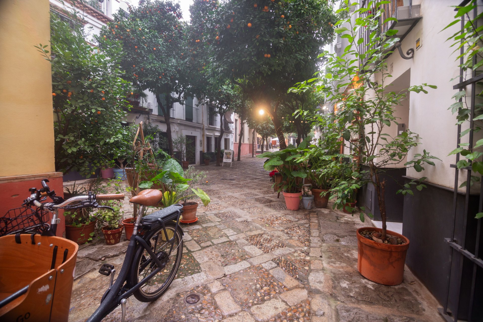 Casa Guadalupe, a house full of character in the very heart of Seville
