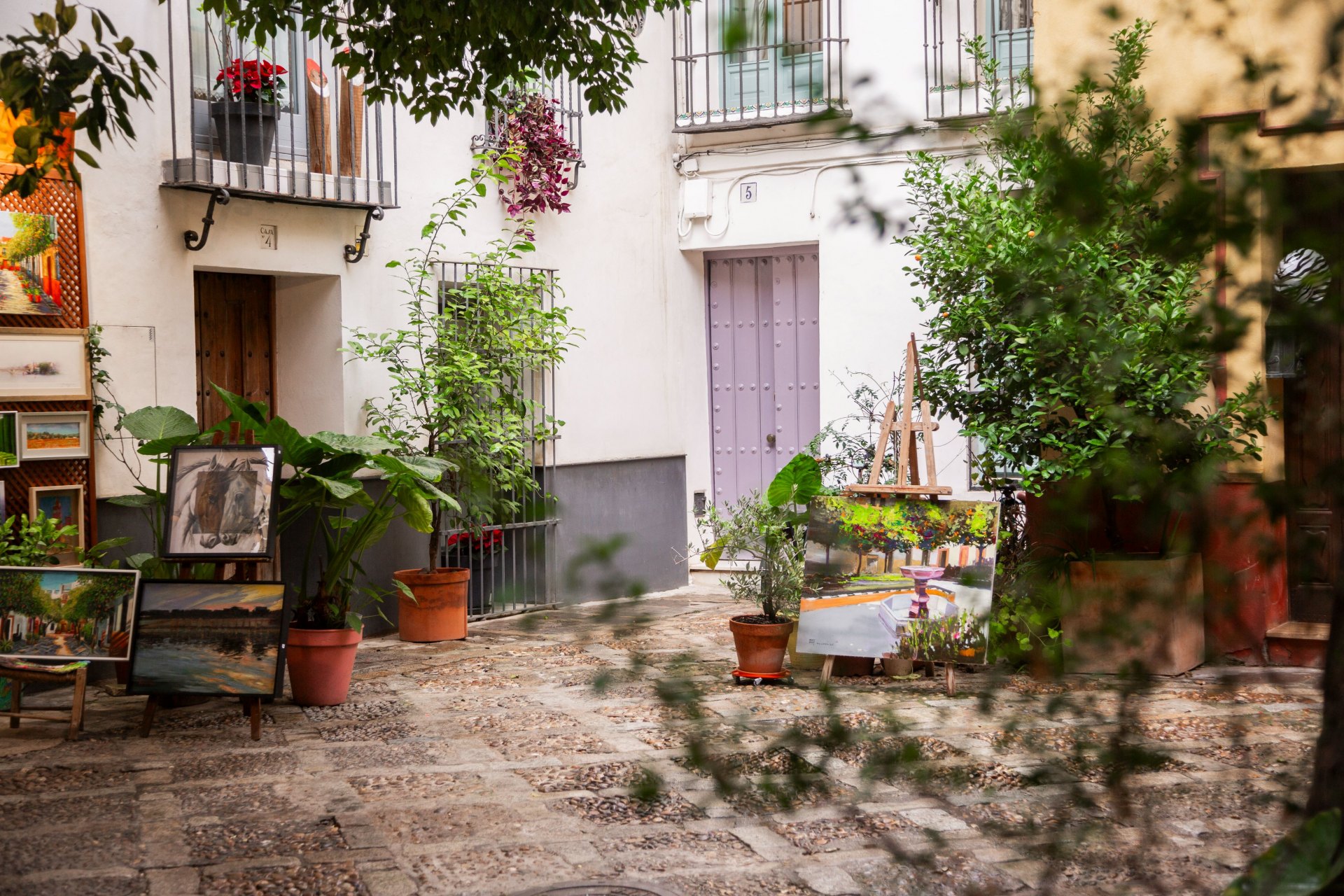 Casa Guadalupe, a house full of character in the very heart of Seville