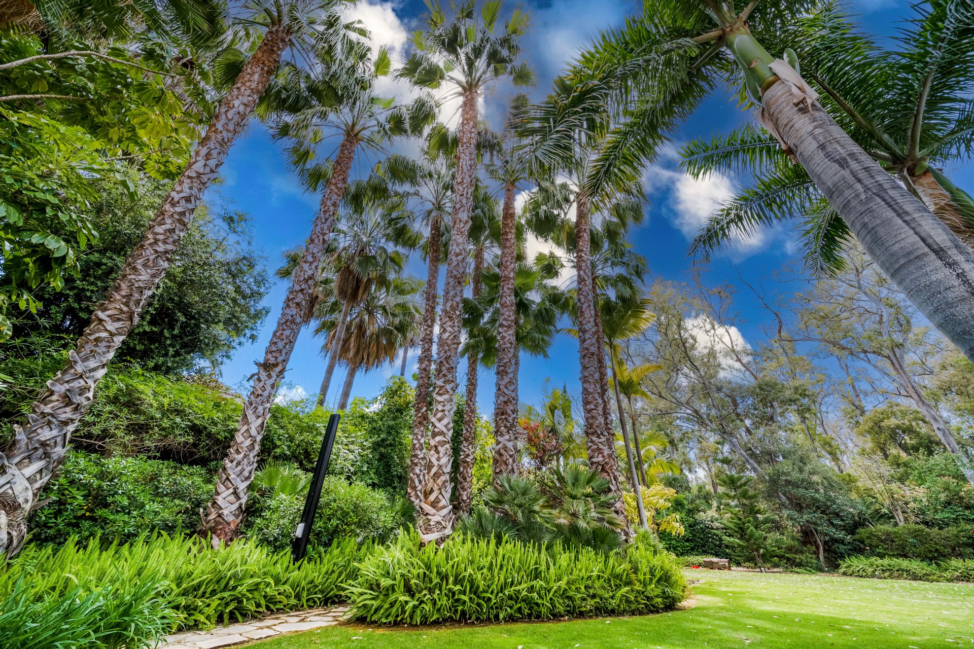 Exceptional large villa beachside, a unique opportunity in Guadalmina Baja