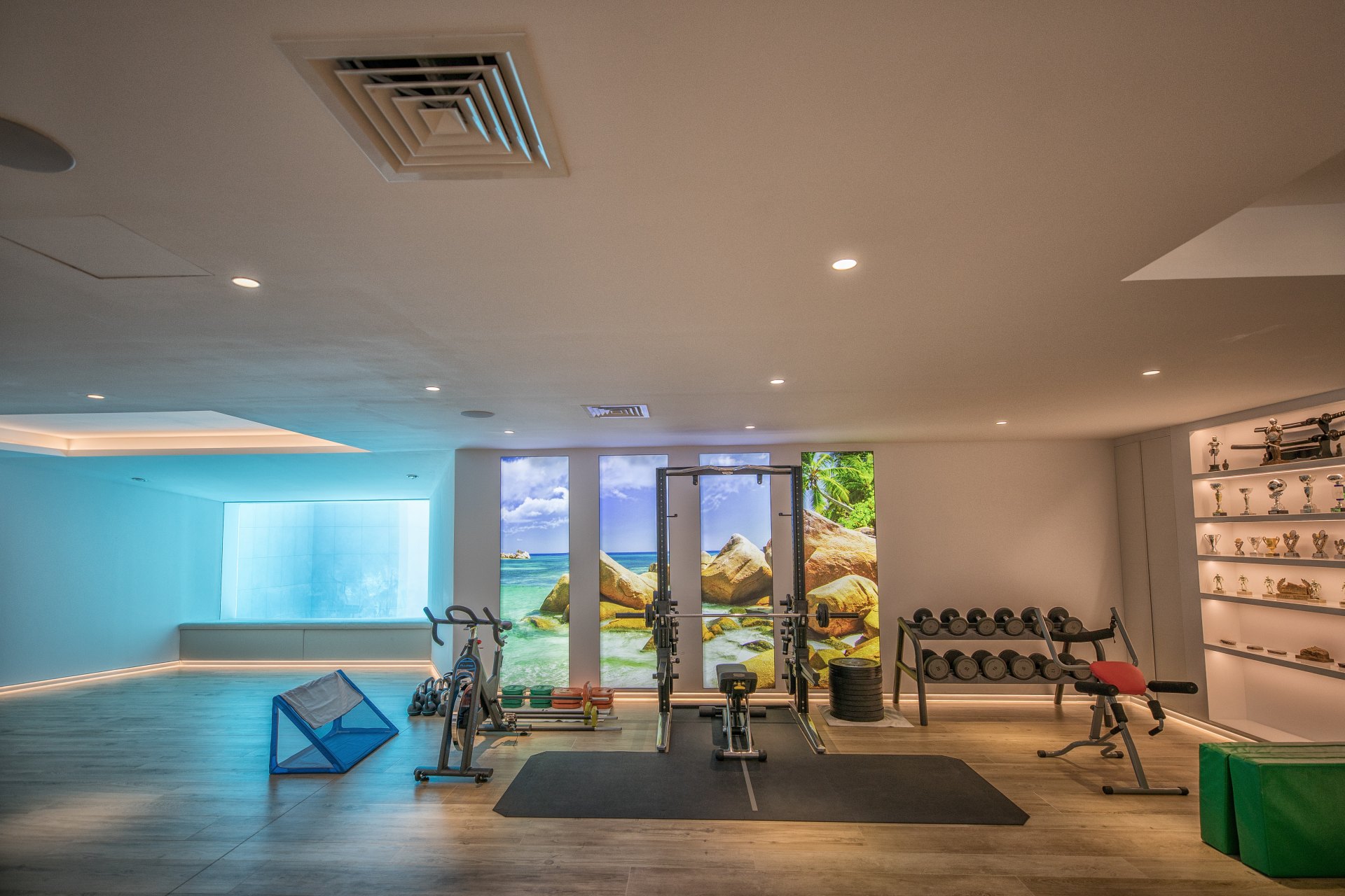 A paradisiacal villa, with all luxury details, on the Mediterranean coast of Estepona