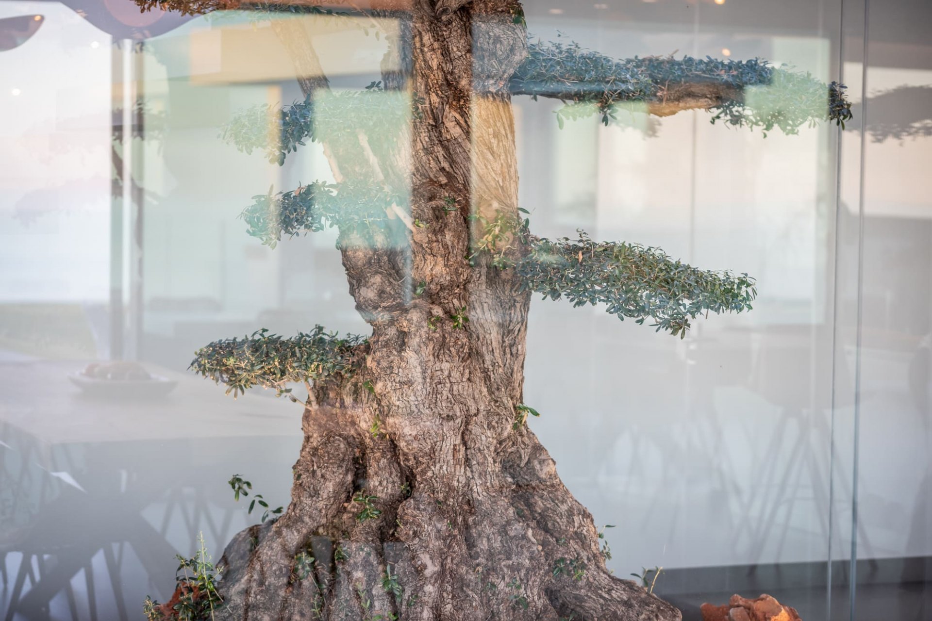 Splendid villa with sea views in the prestigious urbanisation La Capellania