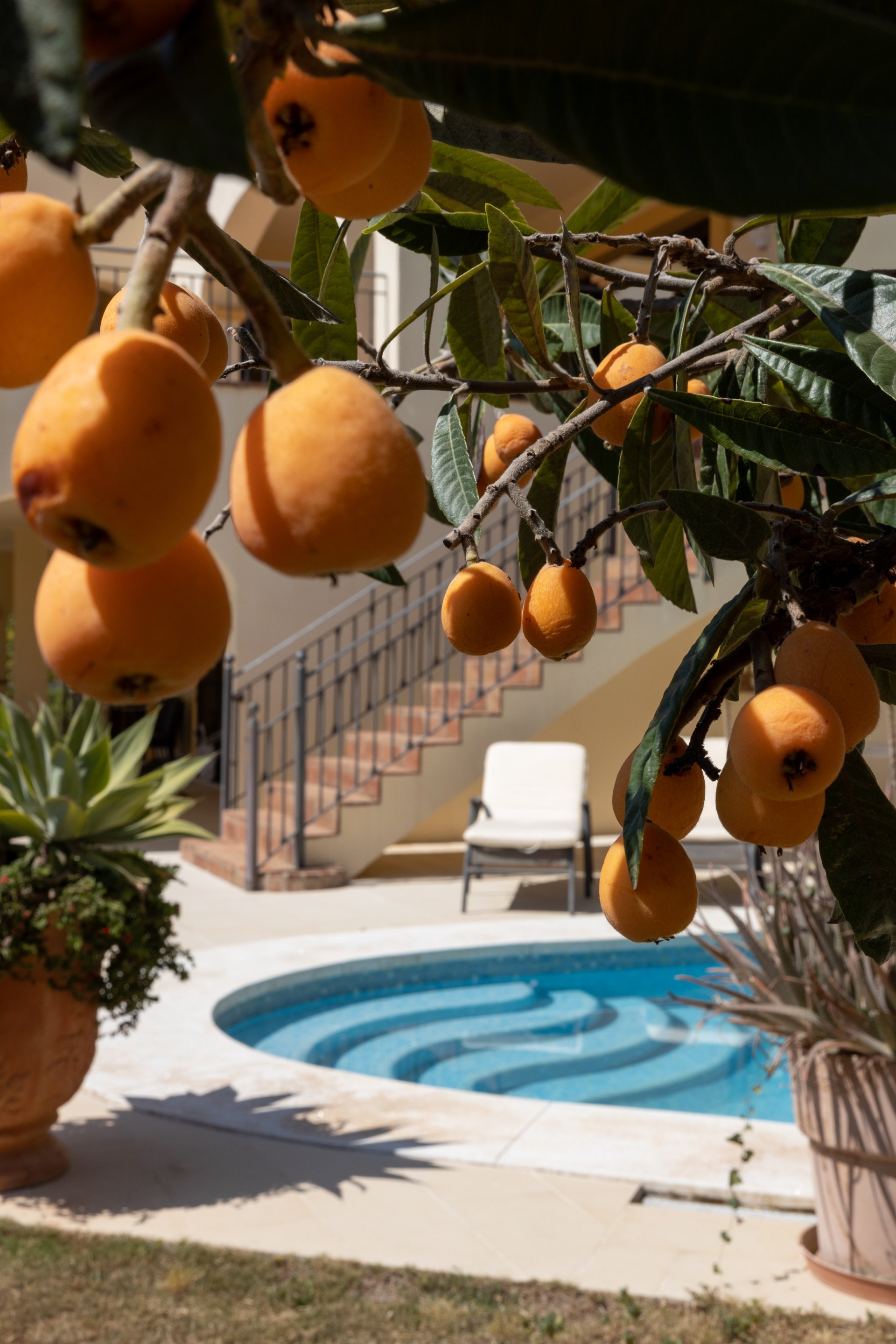 Mansion Atemporal en Vega Colorado, Benahavis