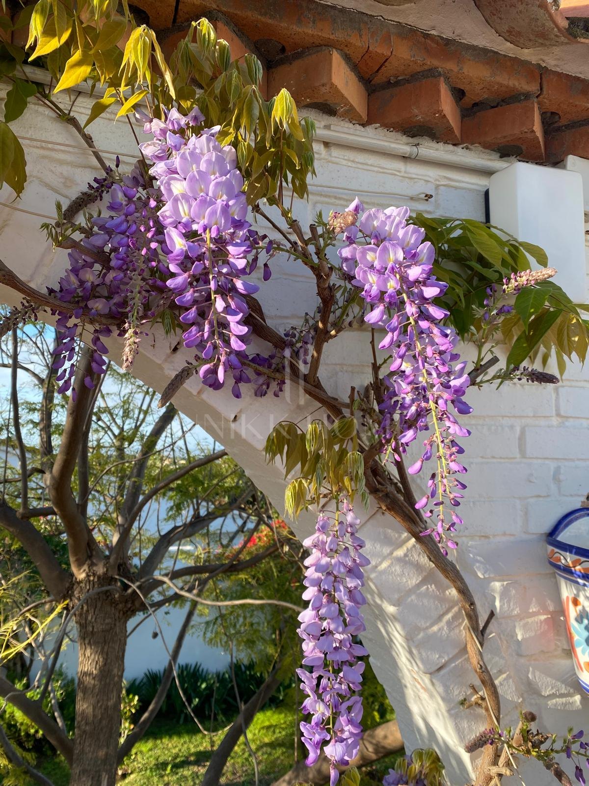Charming traditional style Villa with Panoramic Sea Views and guest apartment in Puerto Romano, Estepona