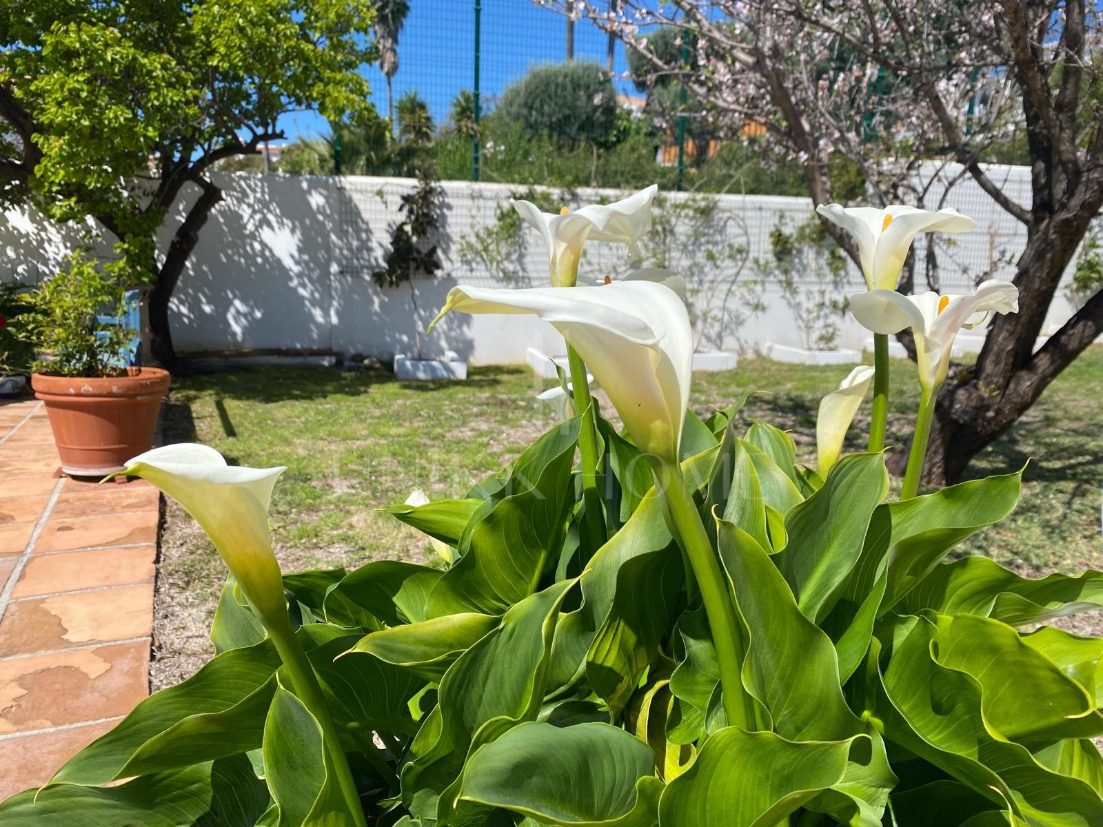 Charming traditional style Villa with Panoramic Sea Views and guest apartment in Puerto Romano, Estepona