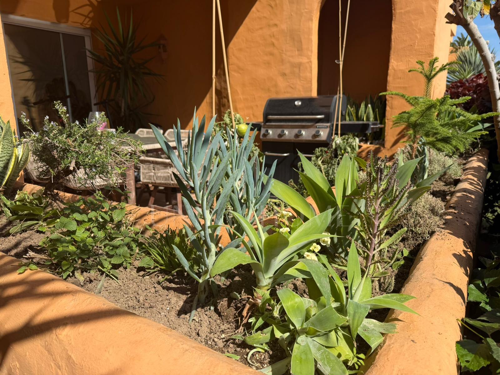 Stunning 3-Bedroom Ground Floor Apartment in Los Granados Phase II