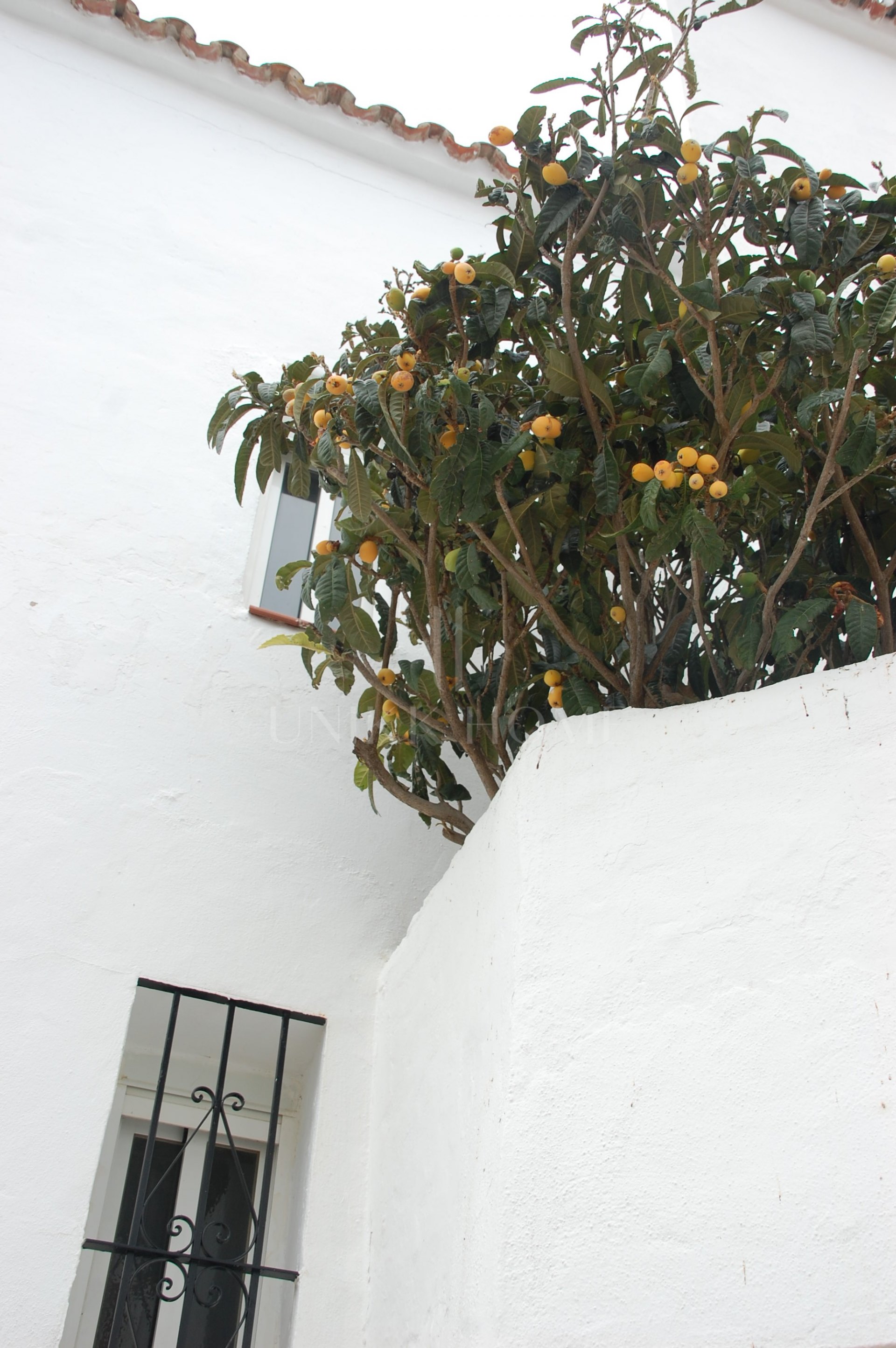 Charming house in the picturesque white village of Casares Pueblo