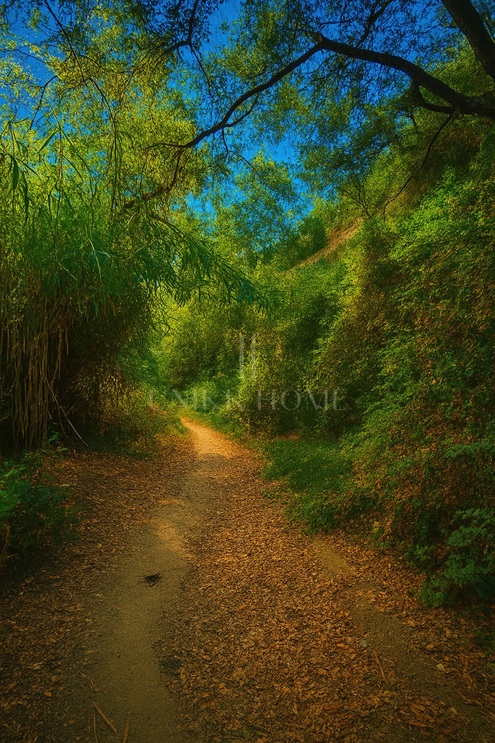 Villa Premier en el Renombrado Resort Parque Botánico