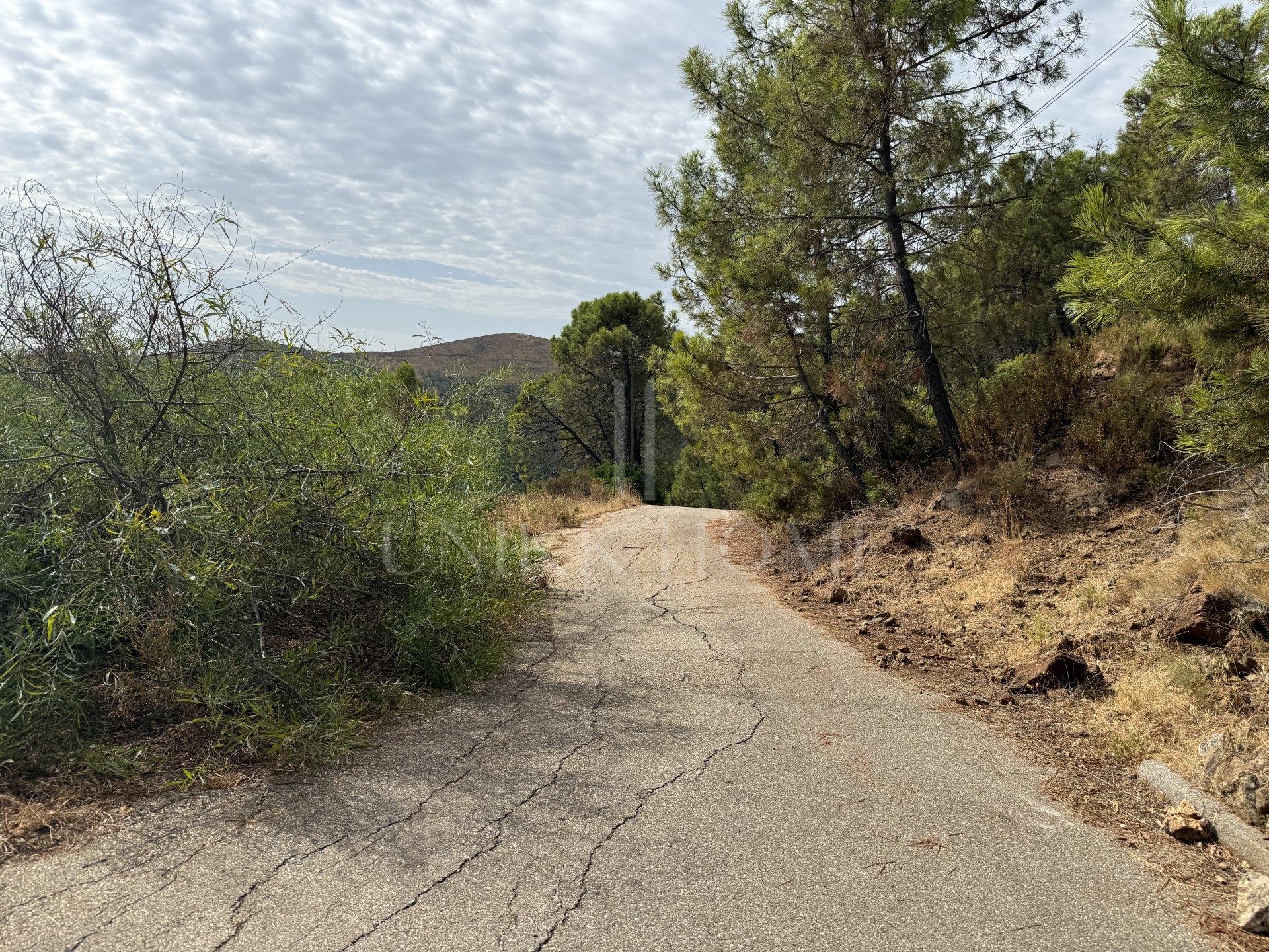 Unique Opportunity – Unconsolidated Urban Land in Benahavís with Spectacular Views