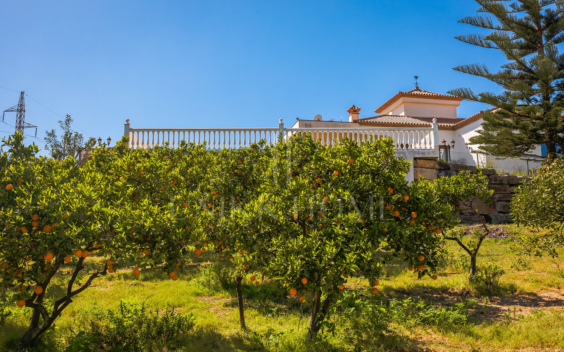 Encantadora finca rústica con vistas panorámicas en El Padrón, Estepona este