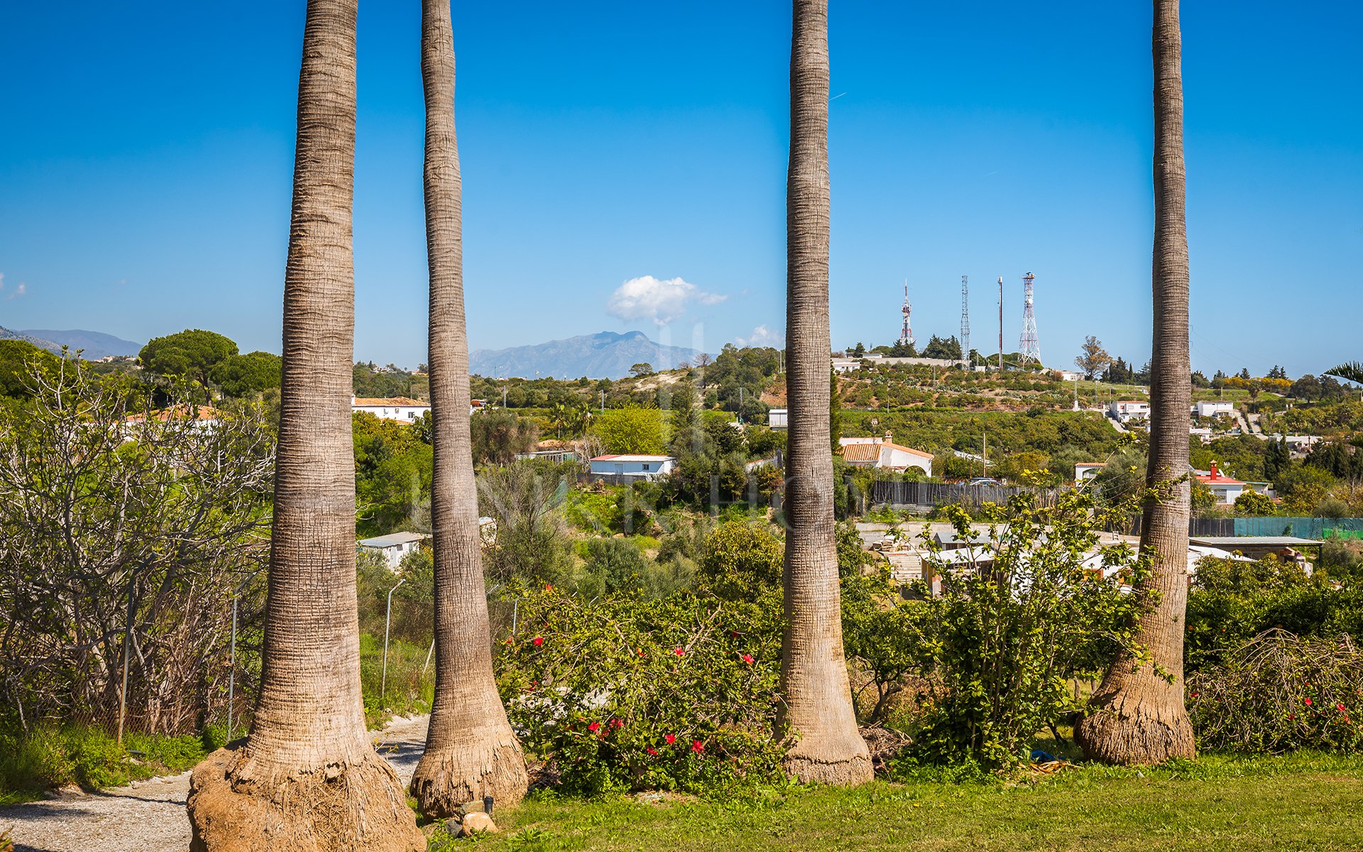 Encantadora finca rústica con vistas panorámicas en El Padrón, Estepona este