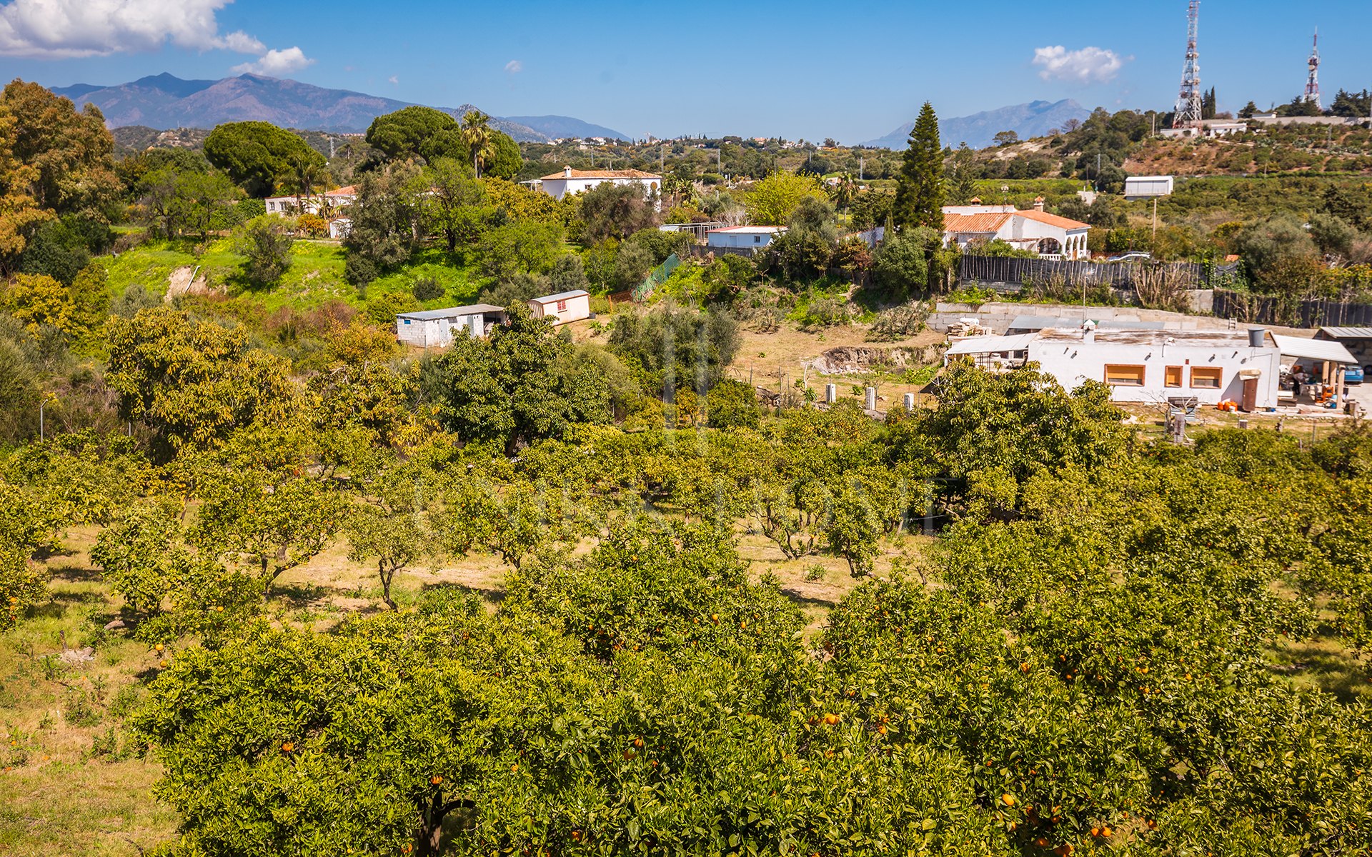 Encantadora finca rústica con vistas panorámicas en El Padrón, Estepona este