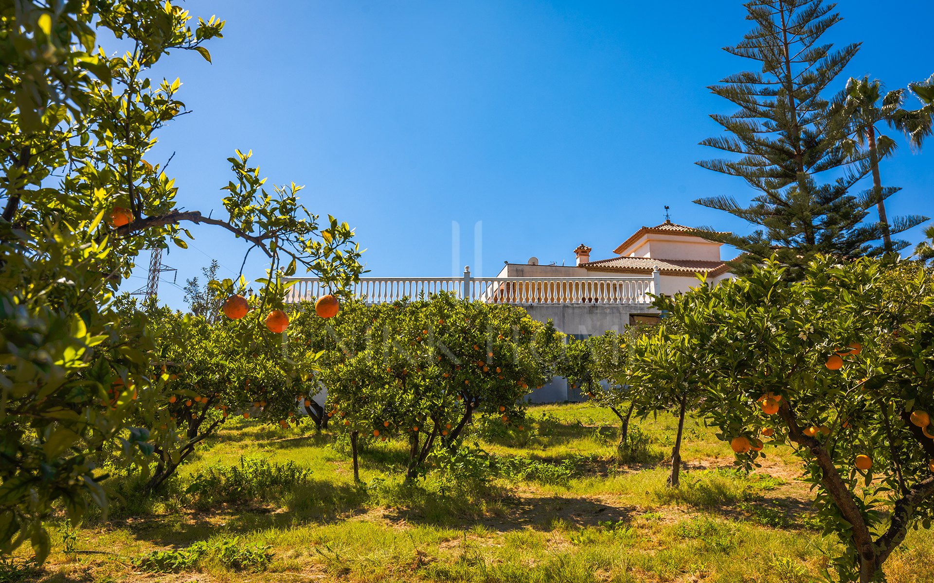 Encantadora finca rústica con vistas panorámicas en El Padrón, Estepona este