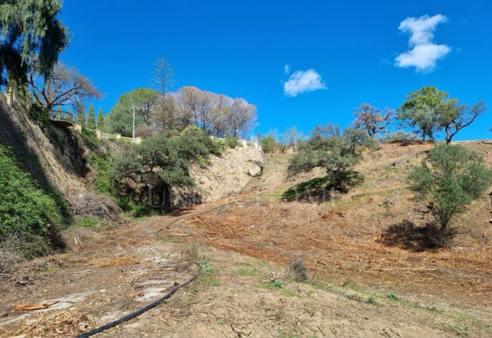 Set of 8 Urban Plots in El Madroñal