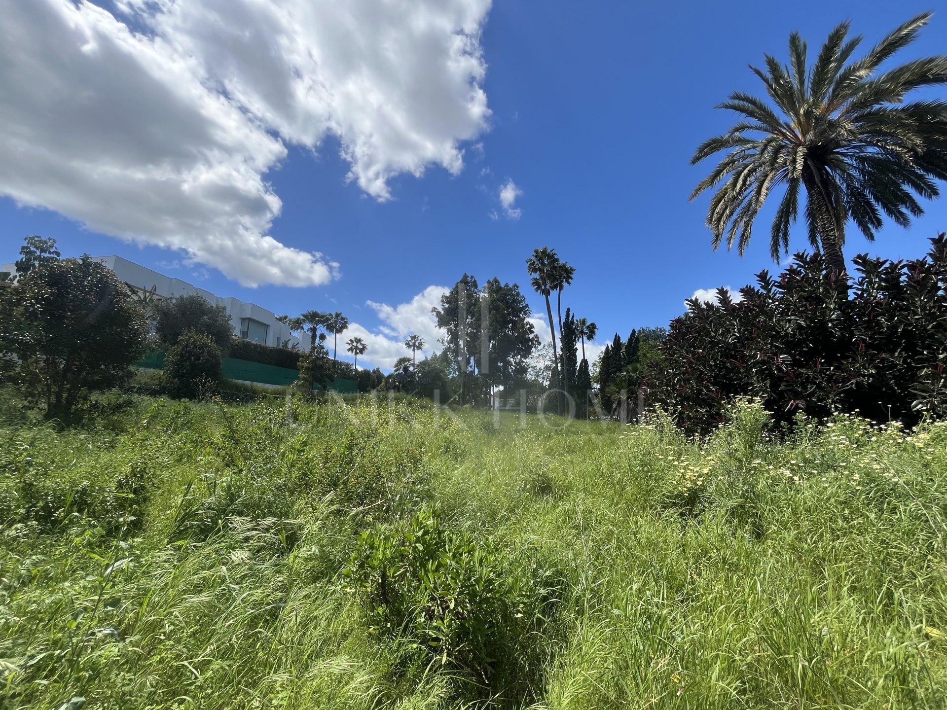 Rare Opportunity in Sotogrande Costa – Kings and Queens Plot with Exceptional Views