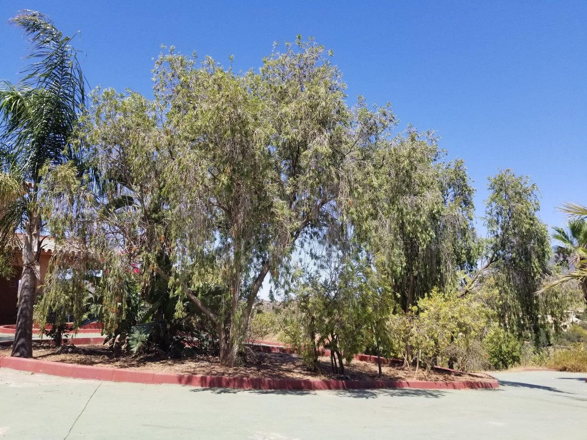 Stunning Finca with massive plot - Ideal for a Retreat in La Cala de Mijas Area