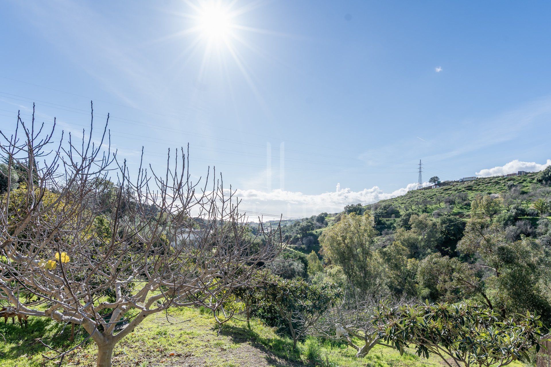Villa con vistas al mar, grandes parcelas y un potencial infinito – La Pantoja, Colinas de Estepona