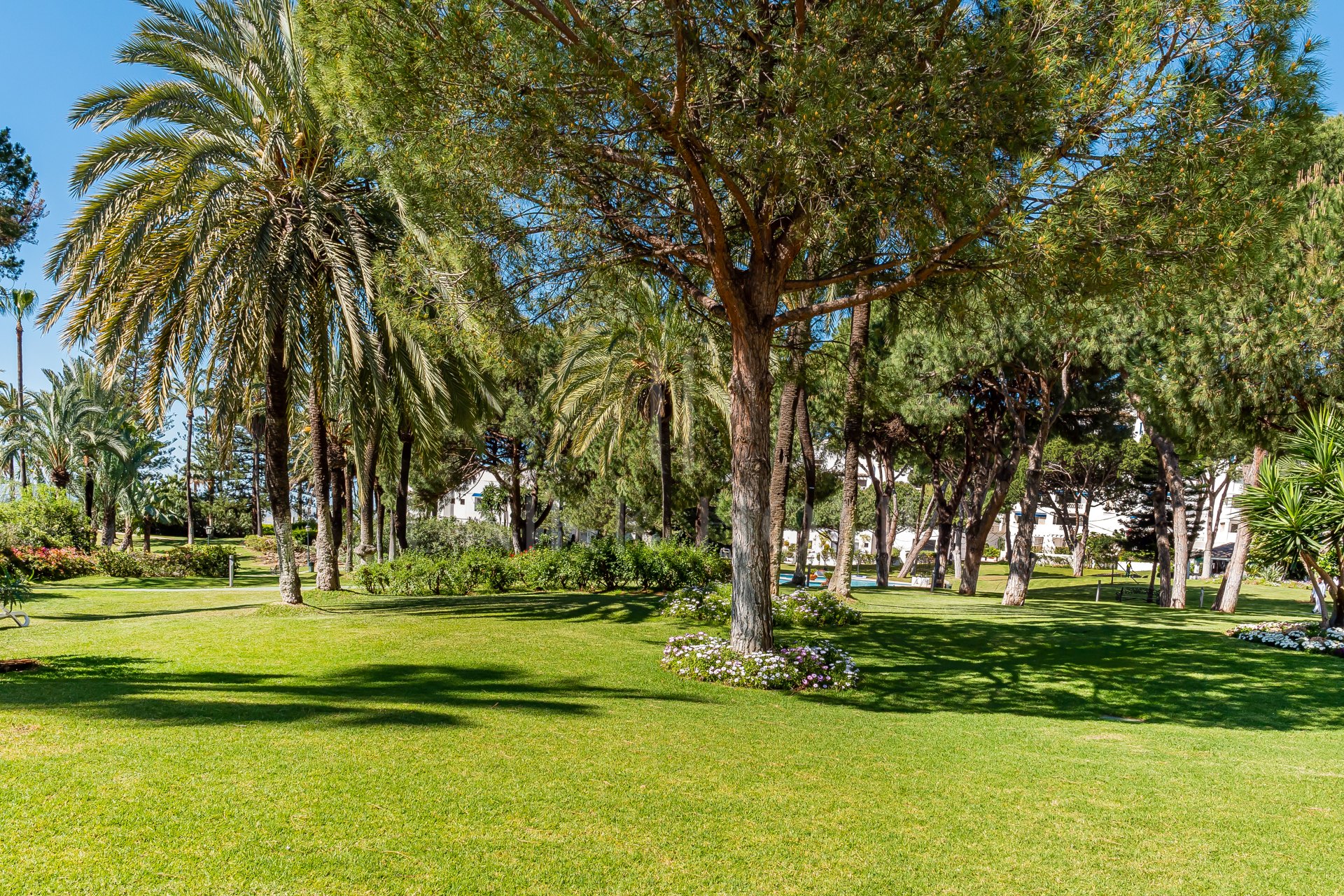 Fantastic apartment next to Puerto Banus