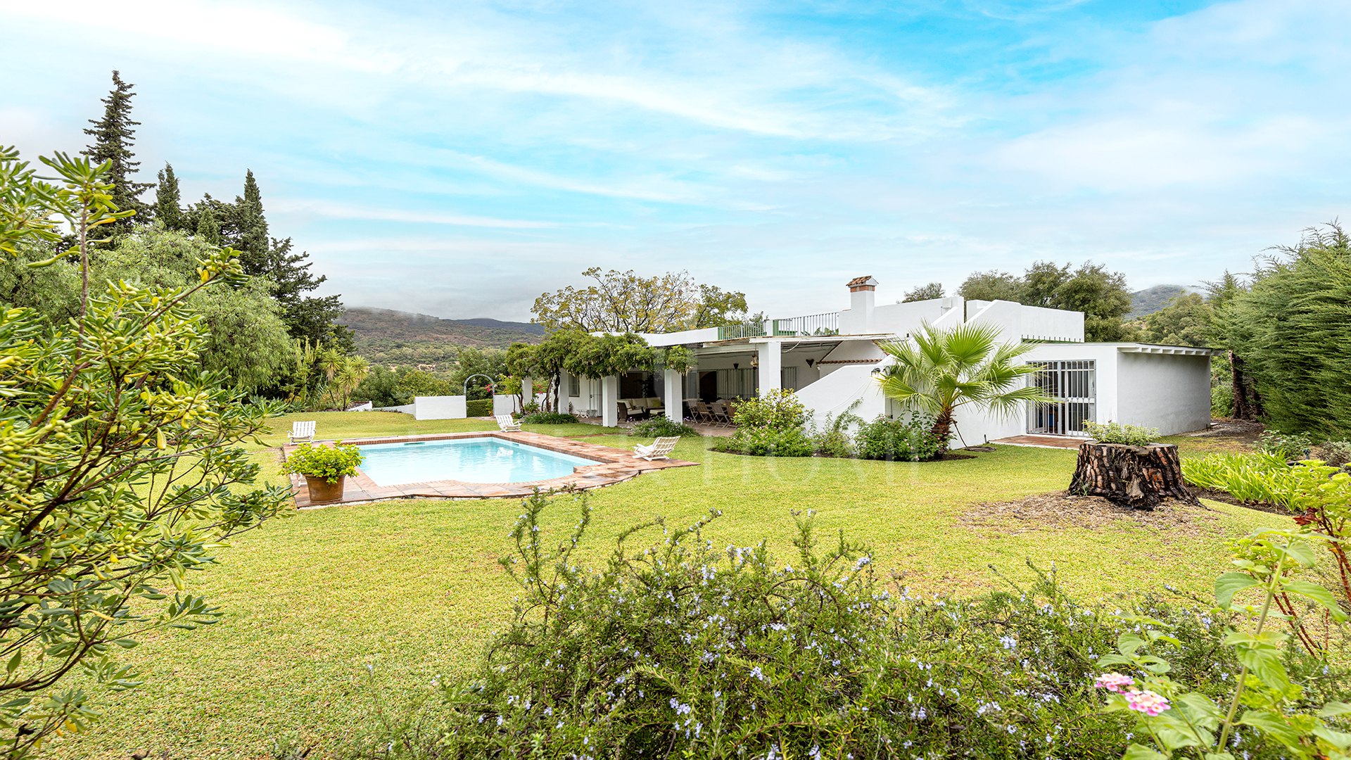Charming Finca with Private Pool, Solarium, BBQ and Orchard in San Pablo de Buceite
