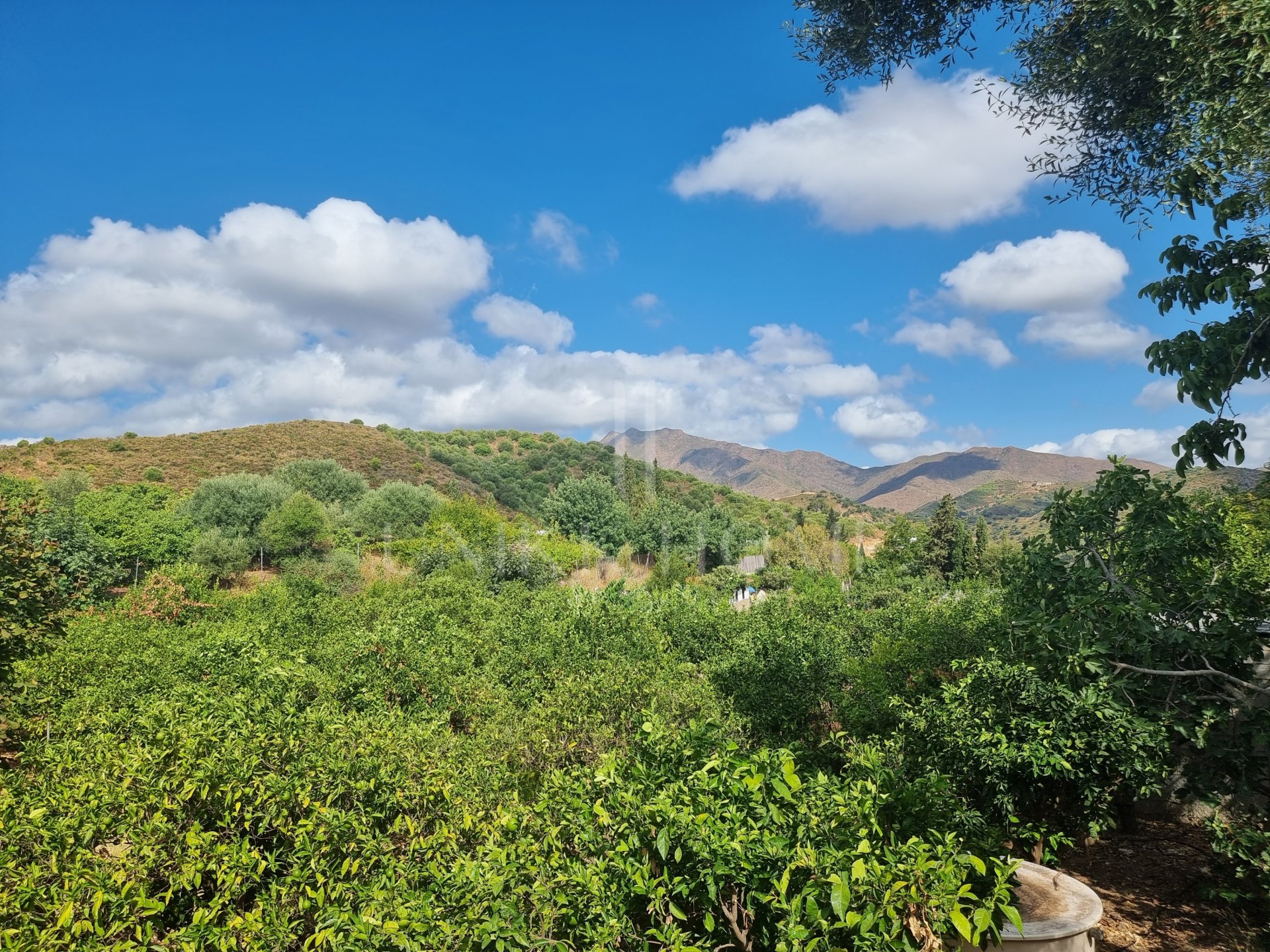 Charming Refurbished Finca with Pool & Fruit Orchard – Entrerríos, Mijas A wonderful opportunity to enjoy peaceful country living just 15 minutes from the beaches of La Cala de Mijas.