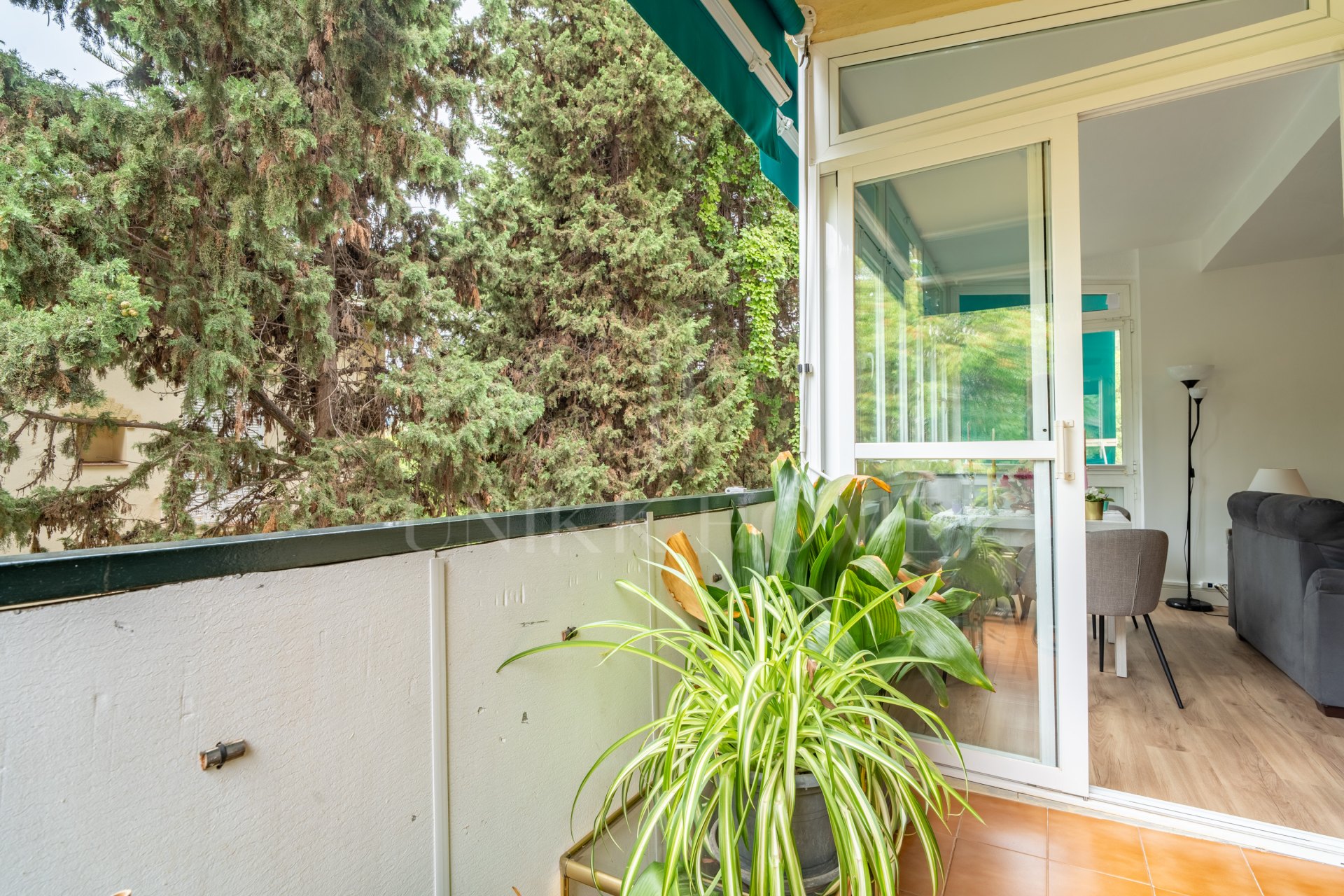Spacious and bright 4-bedroom home on Paseo Miramar, El Limonar, with private parking and a lift