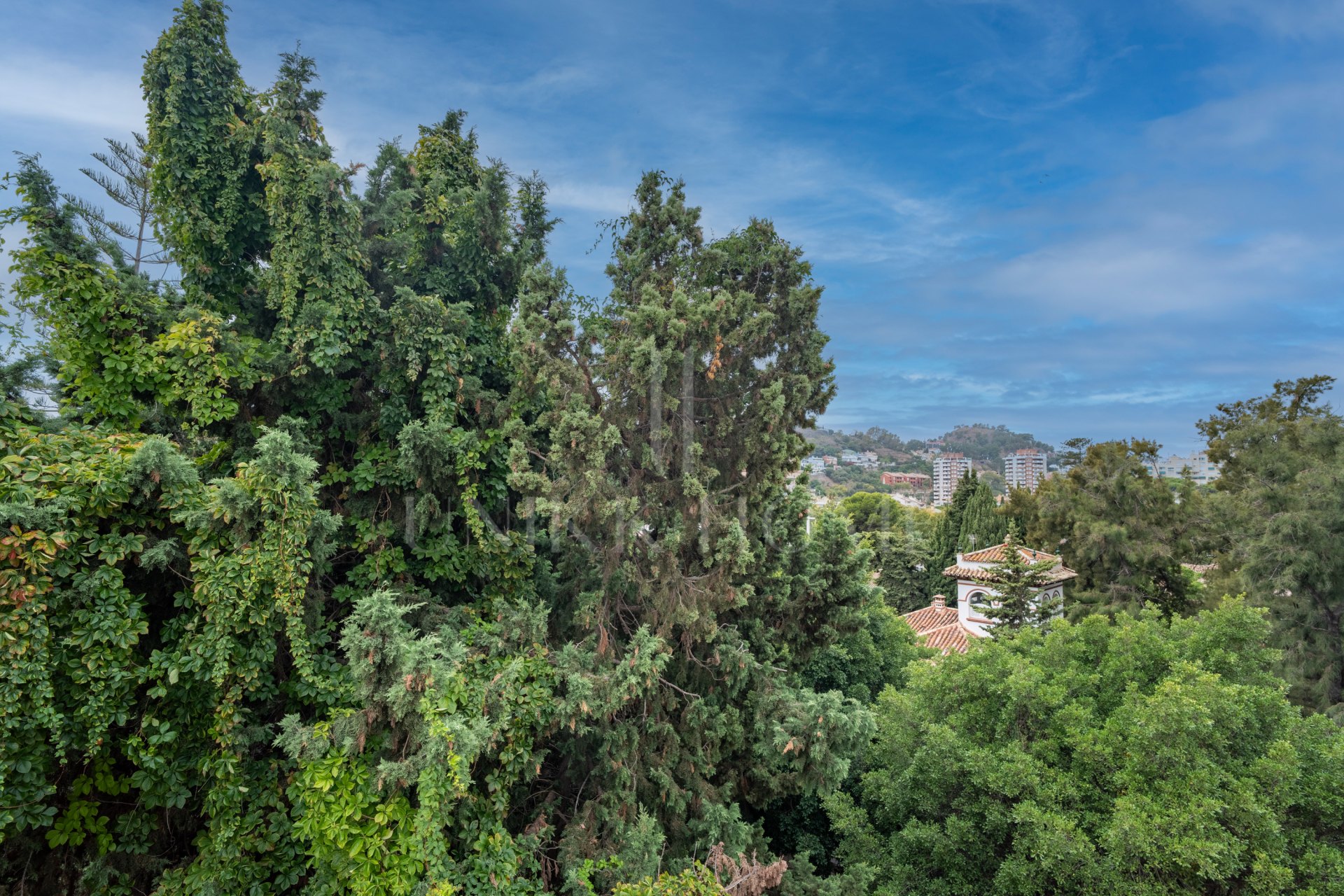 Spacious and bright 4-bedroom home on Paseo Miramar, El Limonar, with private parking and a lift