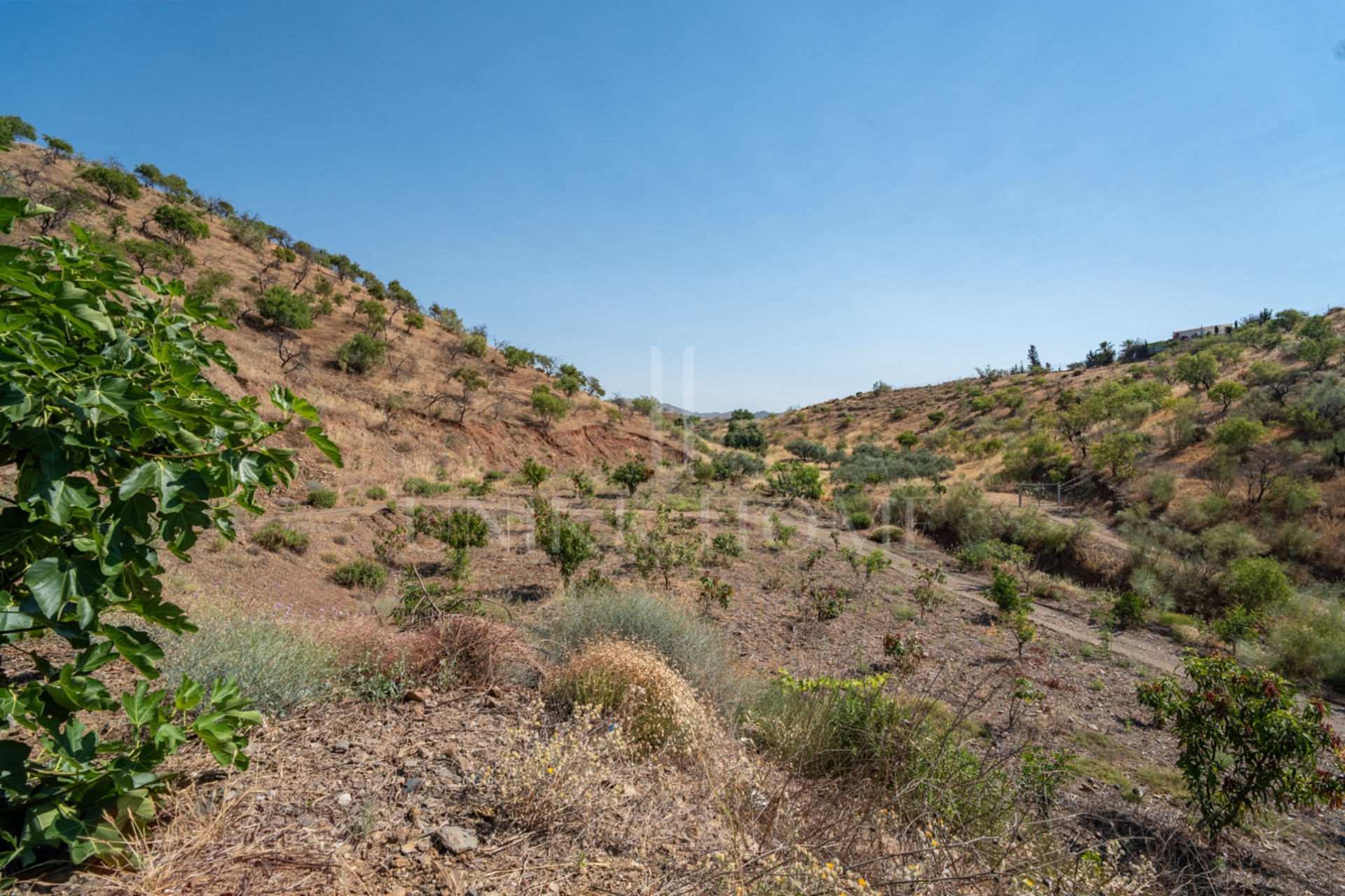 Discover this exceptional property located in a privileged natural environment, just a few minutes from the urban centre of Estación de Cártama. A unique opportunity both to enjoy a house surrounded by nature and to invest in a neg