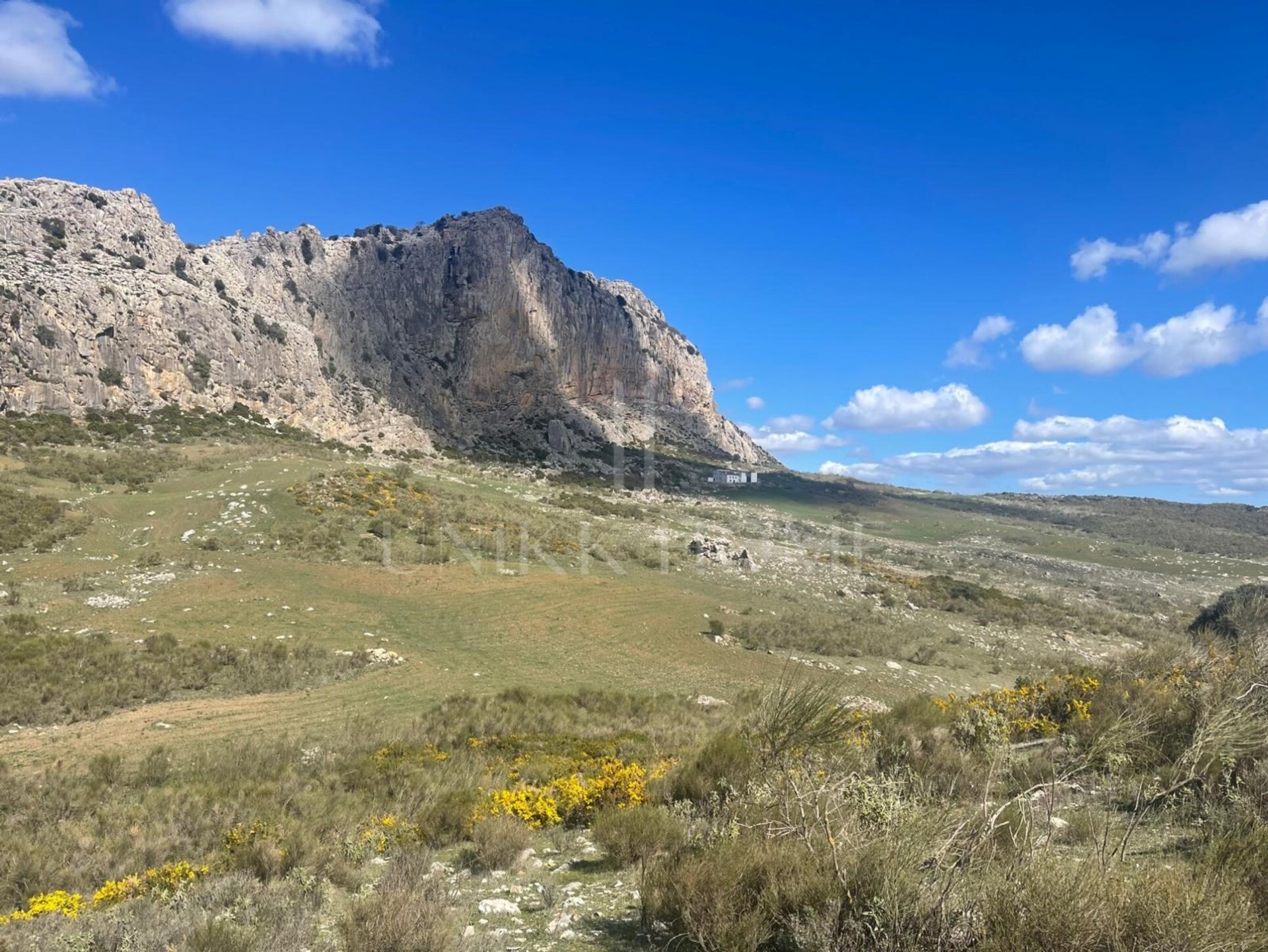 Just forty minutes from Malaga capital and the airport, this farm of 106 hectares is located in a natural environment of great beauty, 920 meters above sea level. Located on the slopes of the Torcal Natural Park, this property
