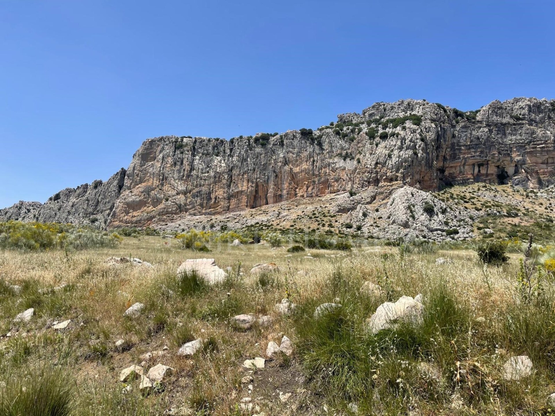 Just forty minutes from Malaga capital and the airport, this farm of 106 hectares is located in a natural environment of great beauty, 920 meters above sea level. Located on the slopes of the Torcal Natural Park, this property
