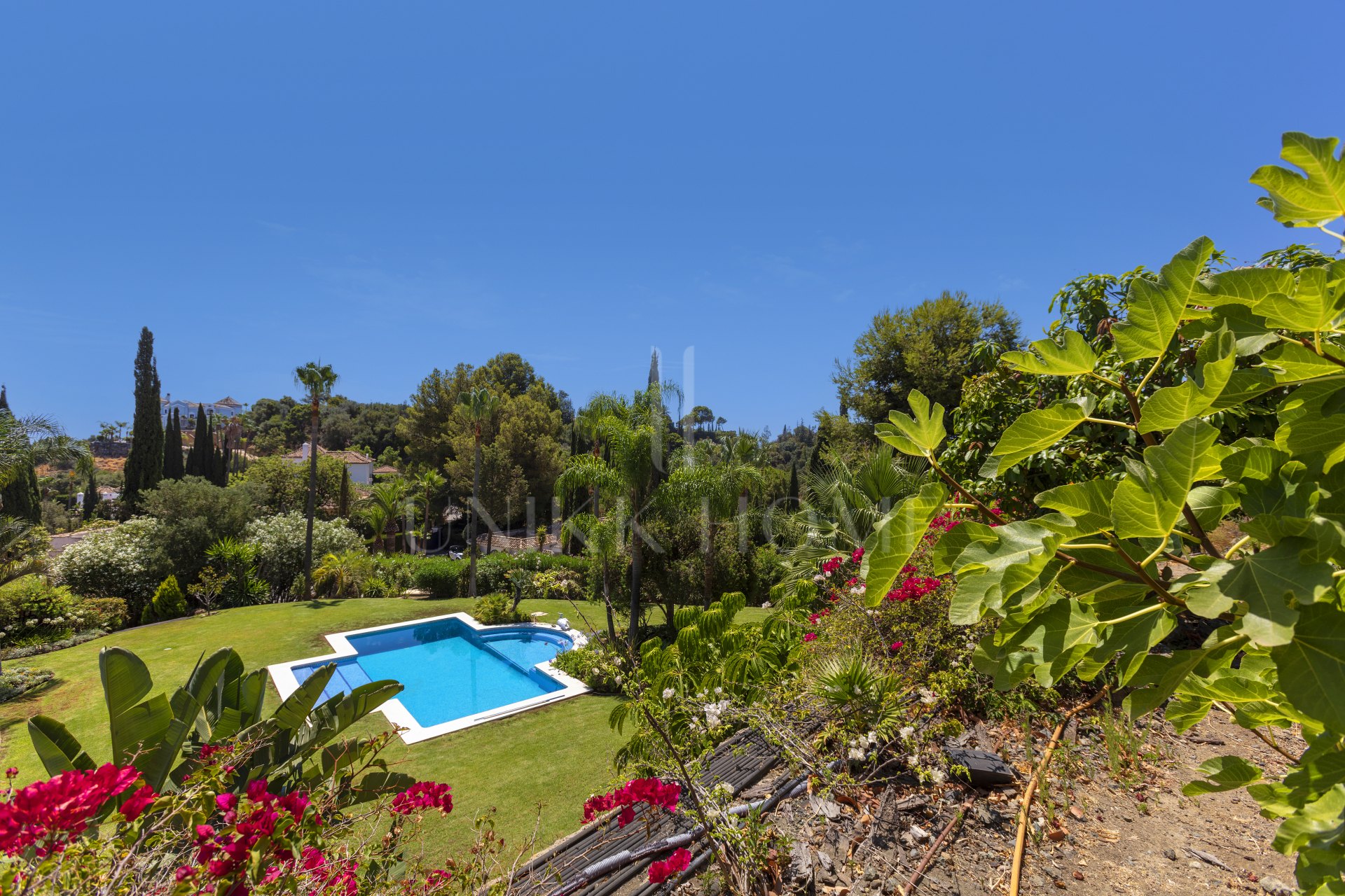 Exceptional César de Leyva villa on a rare, fully flat 3,000m² plot. Completely renovated, with sea views, total privacy, mature organic gardens, saltwater pool, 5 bedrooms, guest apartment, cinema room and extensive parking.