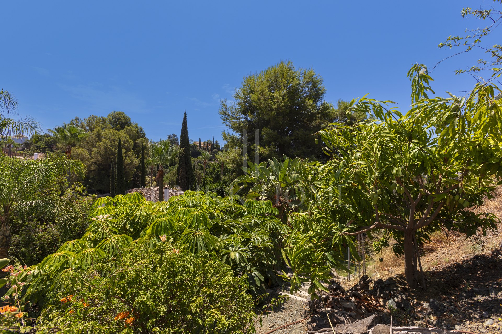 Exceptional César de Leyva villa on a rare, fully flat 3,000m² plot. Completely renovated, with sea views, total privacy, mature organic gardens, saltwater pool, 5 bedrooms, guest apartment, cinema room and extensive parking.