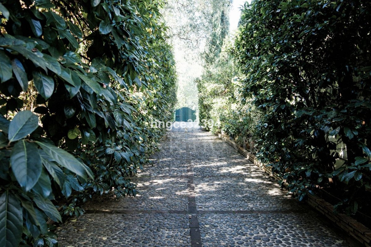 Un santuario artístico privado en Sotogrande Costa