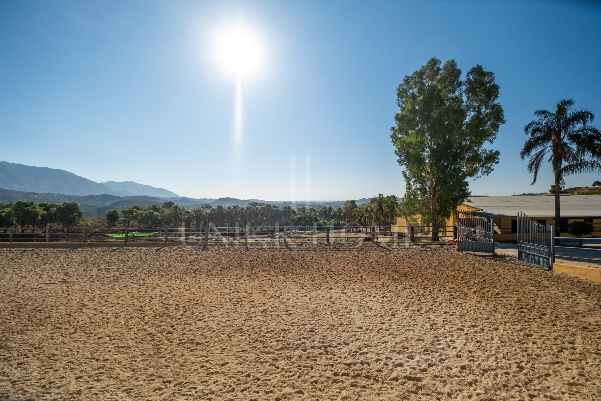 AMAZING EQUESTRIAN PROPERTY 15 MINUTES FROM THE BEACH