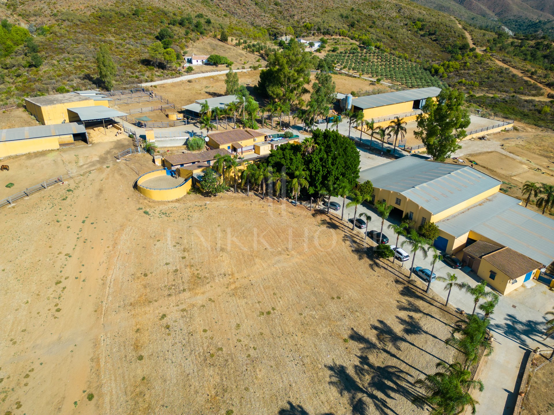 AMAZING EQUESTRIAN PROPERTY 15 MINUTES FROM THE BEACH