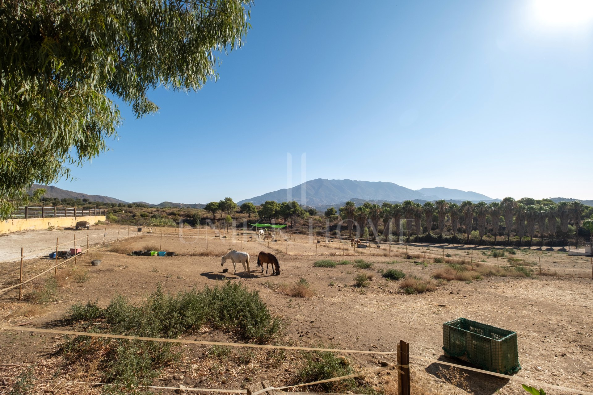 AMAZING EQUESTRIAN PROPERTY 15 MINUTES FROM THE BEACH