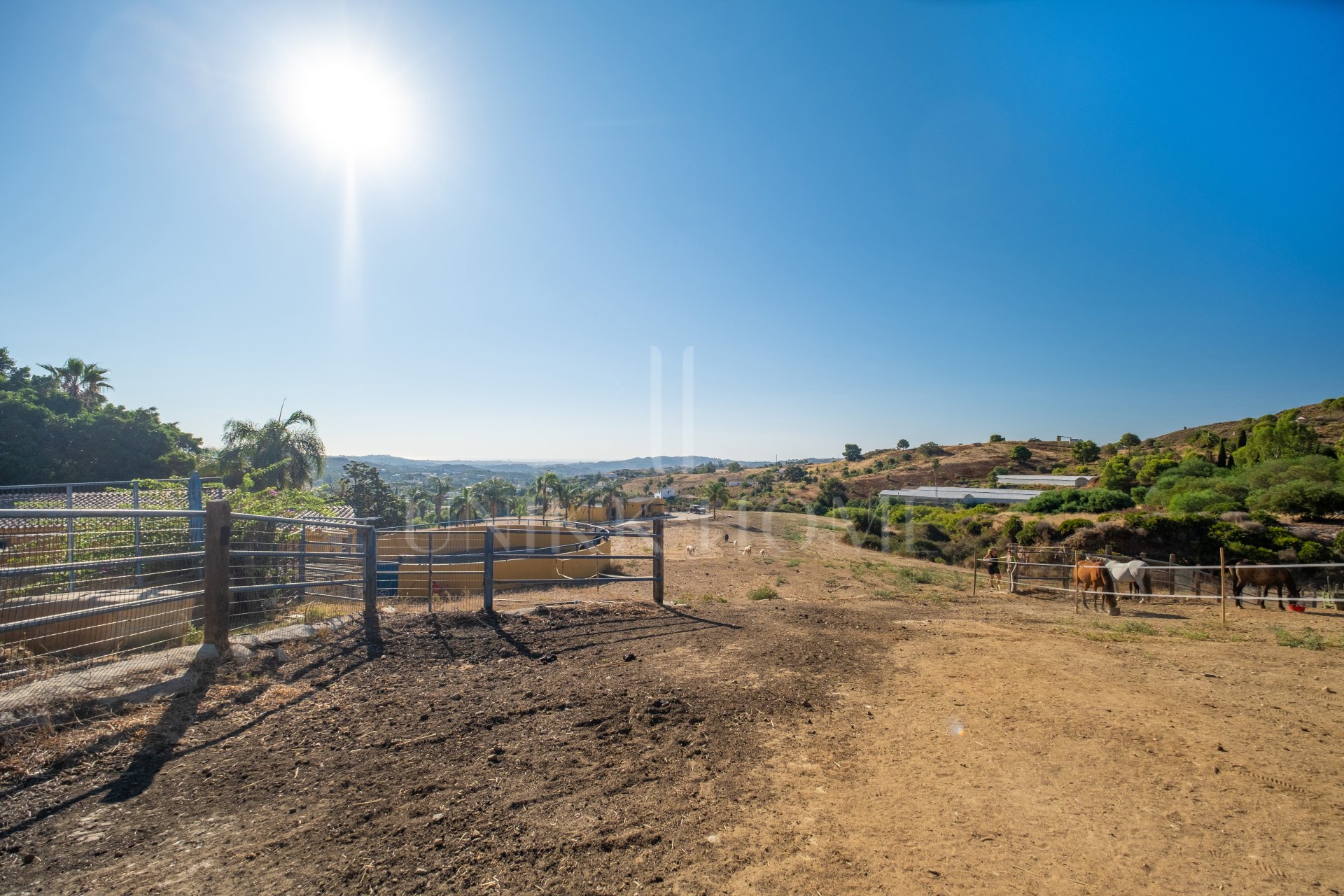 AMAZING EQUESTRIAN PROPERTY 15 MINUTES FROM THE BEACH