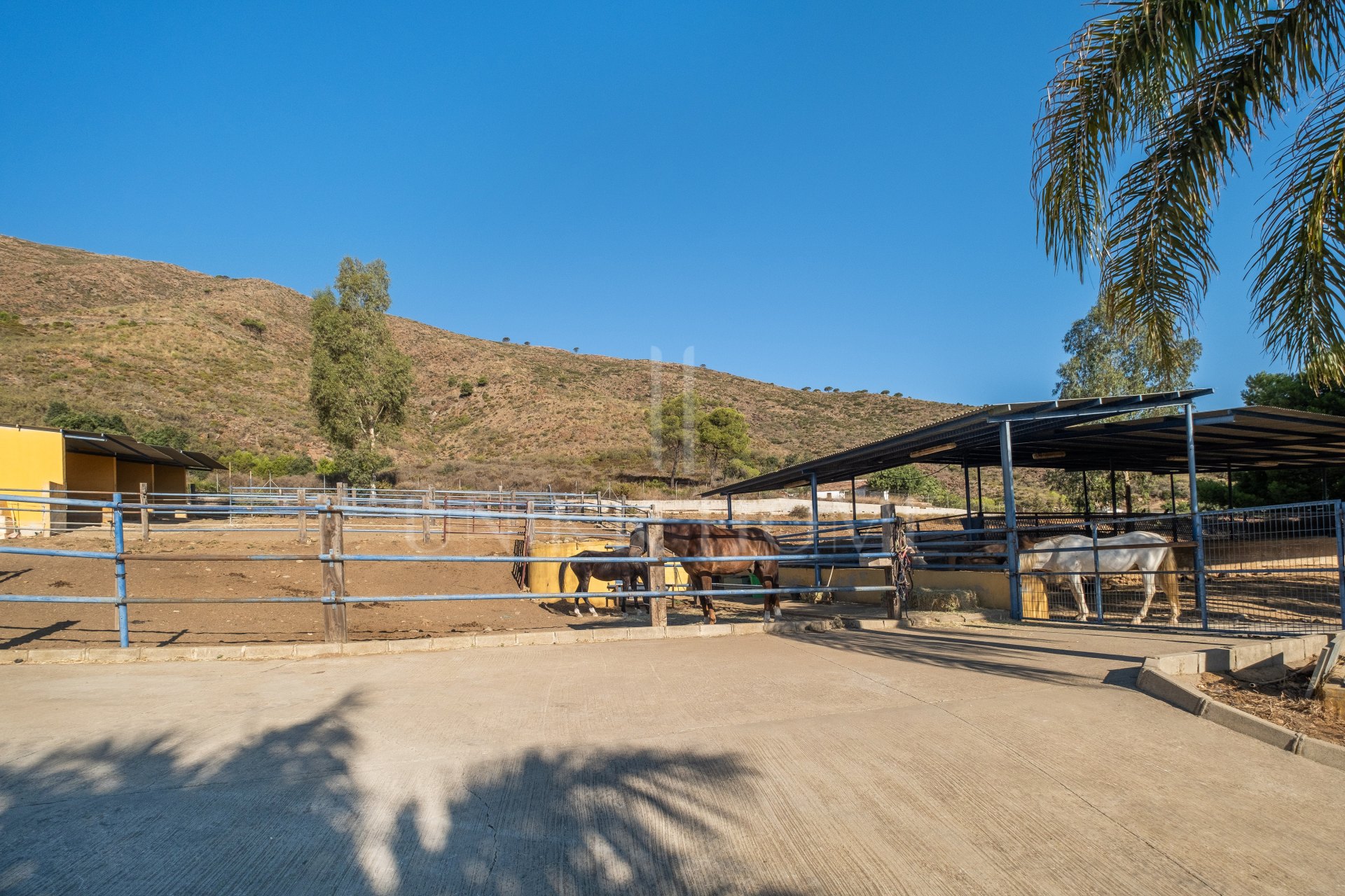 AMAZING EQUESTRIAN PROPERTY 15 MINUTES FROM THE BEACH