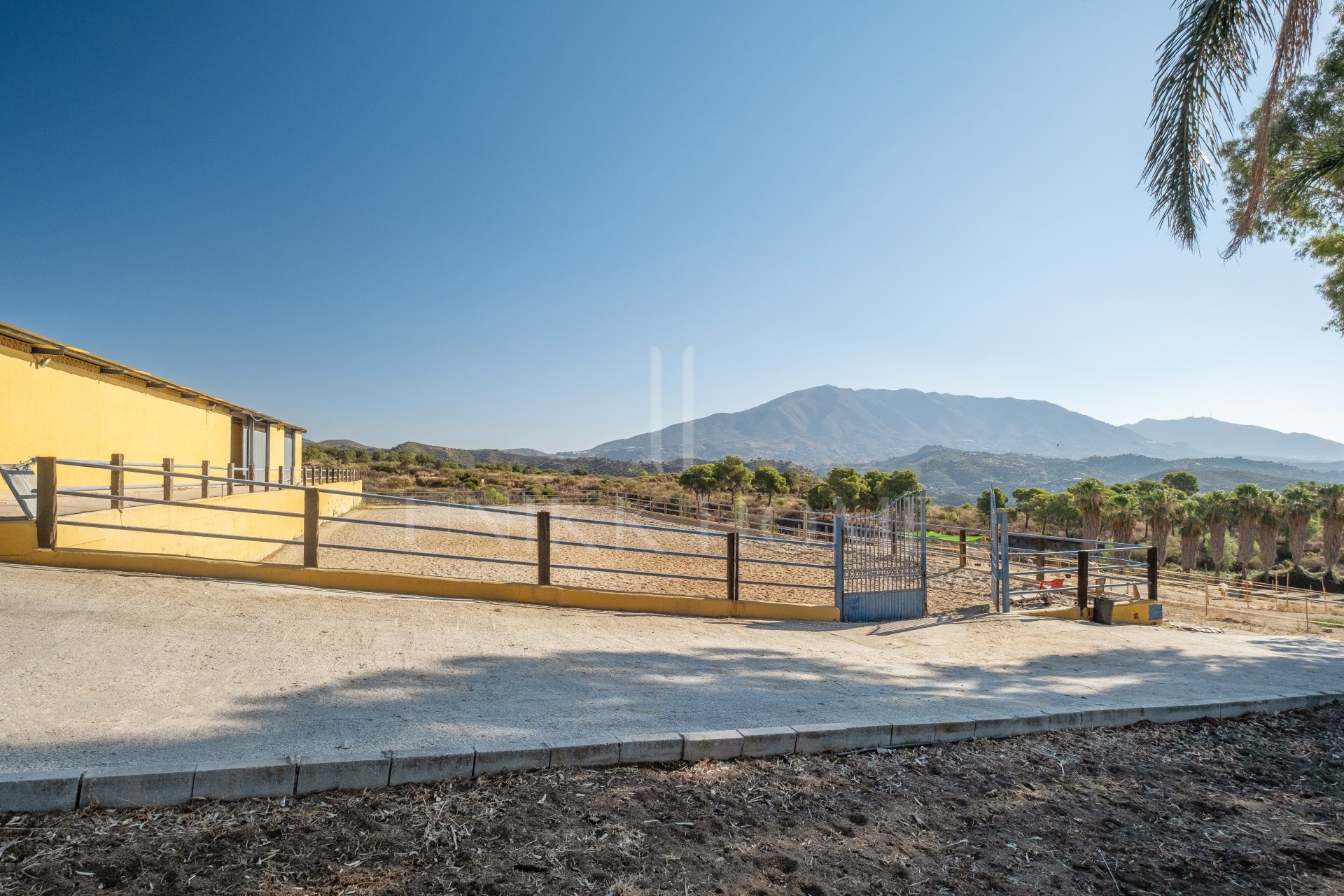 AMAZING EQUESTRIAN PROPERTY 15 MINUTES FROM THE BEACH