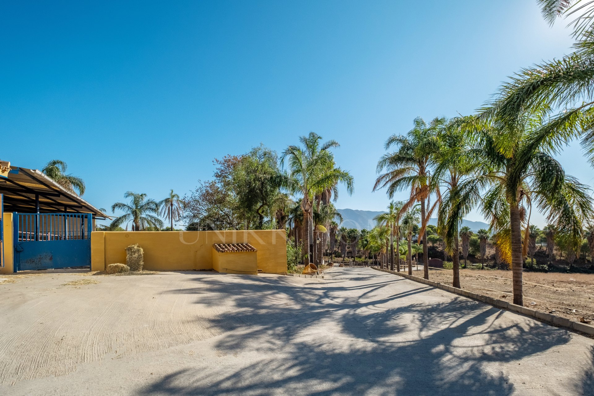 AMAZING EQUESTRIAN PROPERTY 15 MINUTES FROM THE BEACH