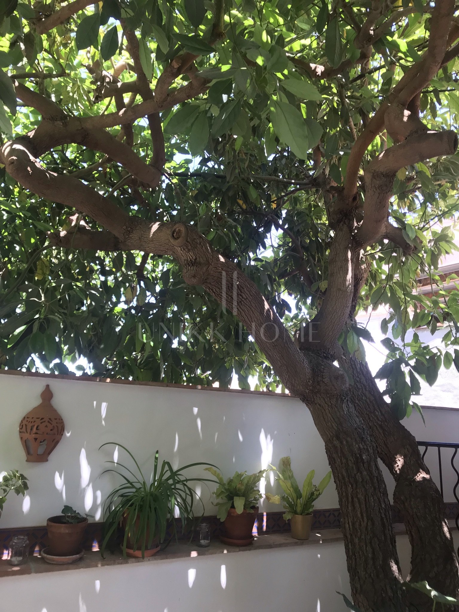 A unique boutique hotel with 10 rooms in the center of Vélez-Málaga