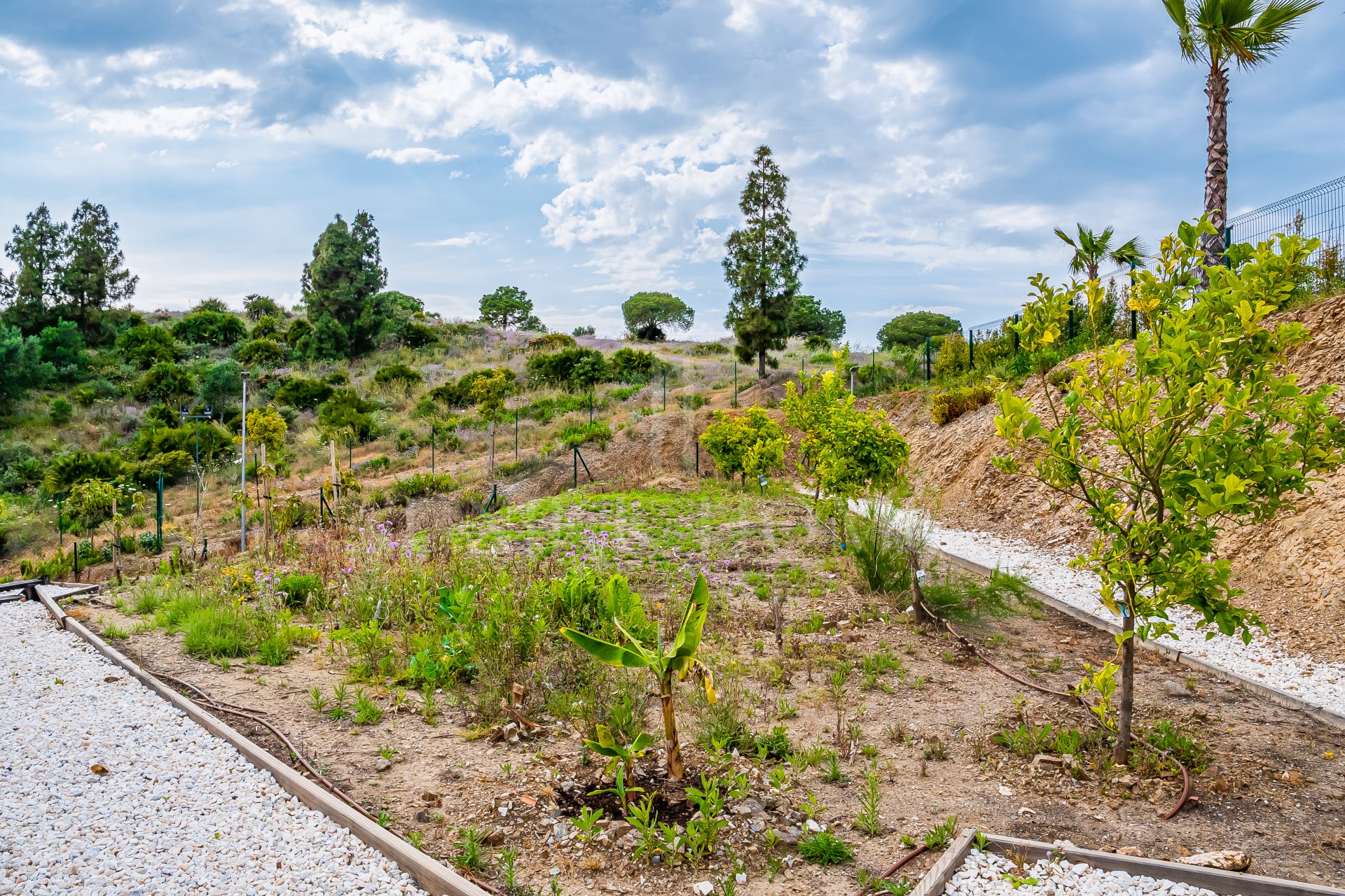 Ground floor apartment with private garden, Vitta Nature, El Chaparral