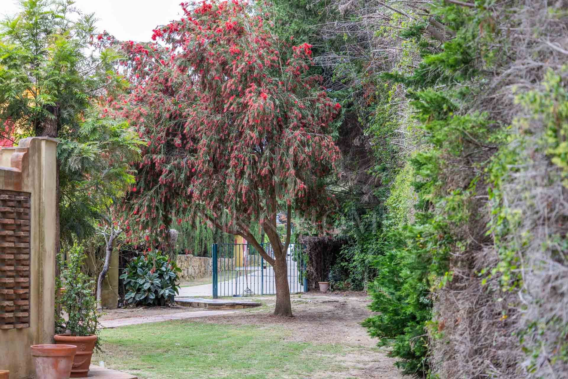 Semi-Detached Corner House with 4 bedrooms and Spacious Garden in Sotogrande Costa
