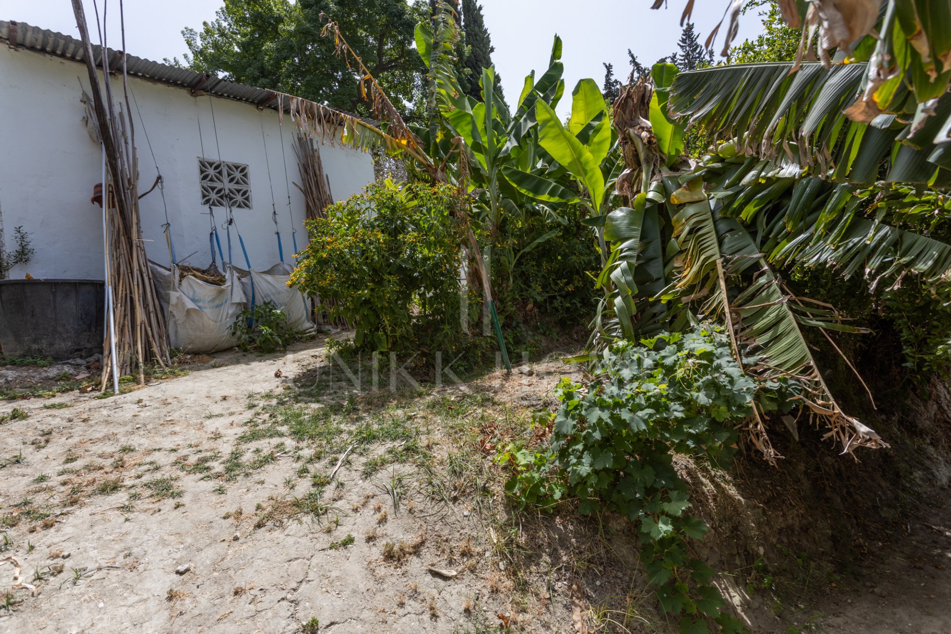 Charming country house with pool, complete privacy and easy access to San Pedro