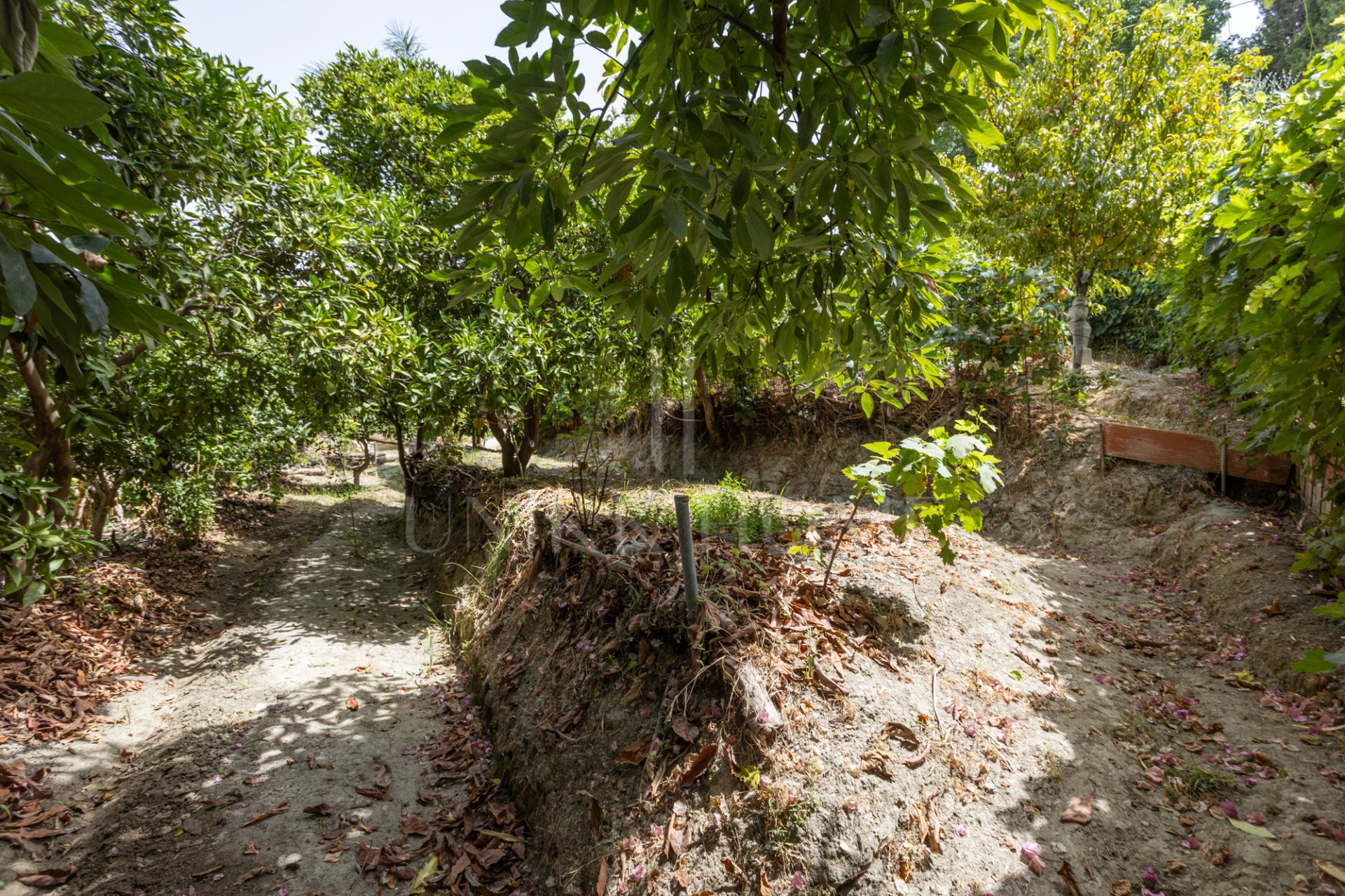 Charming country house with pool, complete privacy and easy access to San Pedro