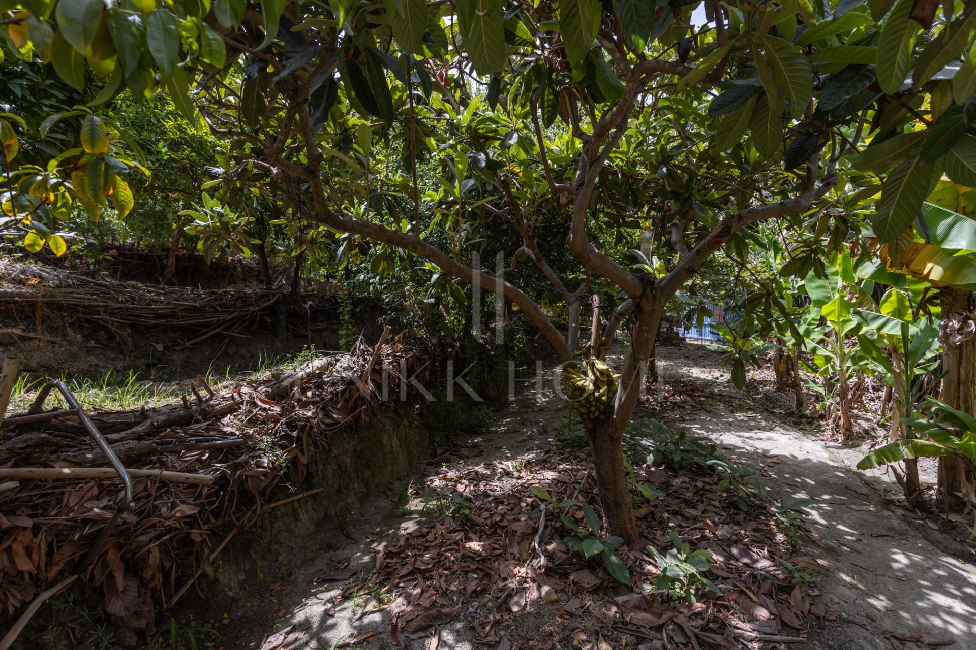 Charming country house with pool, complete privacy and easy access to San Pedro