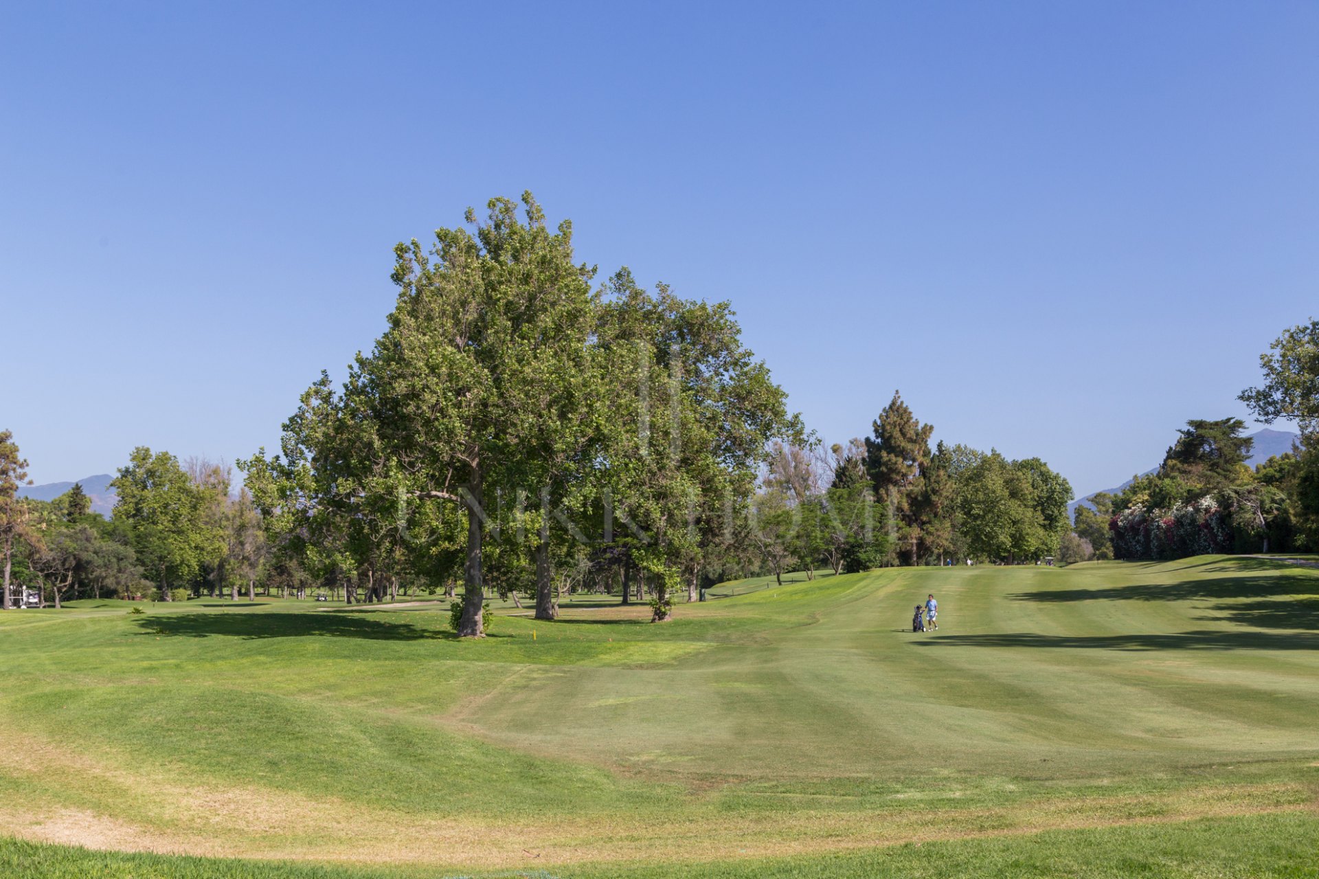 Villa with private pool on the golf course front line – Isla de Guadalmina, Guadalmina Alta