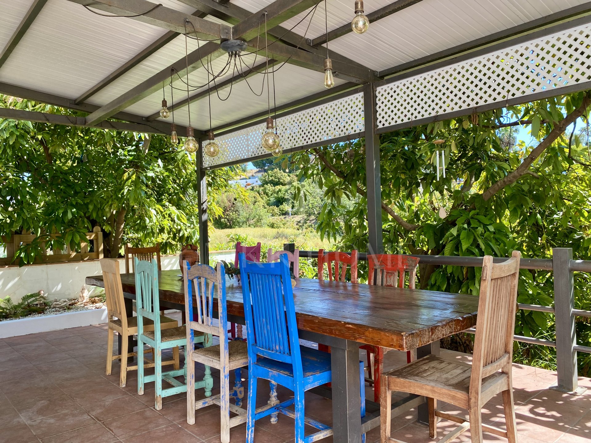 Encantadora Finca Rústica Renovada con Piscina Privada y Producción de Arboles Frutales en El Padrón, Estepona